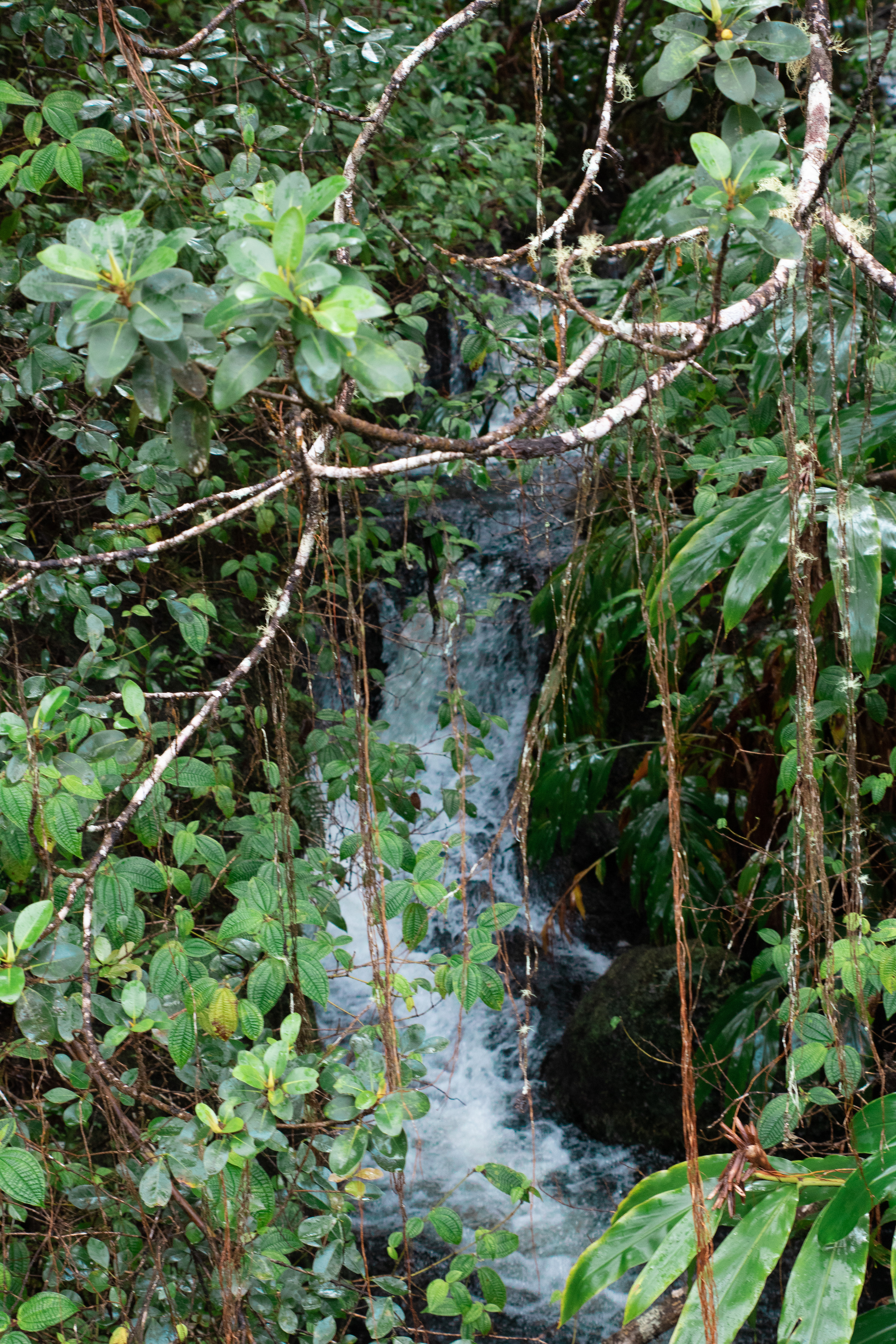 one of the waterfalls