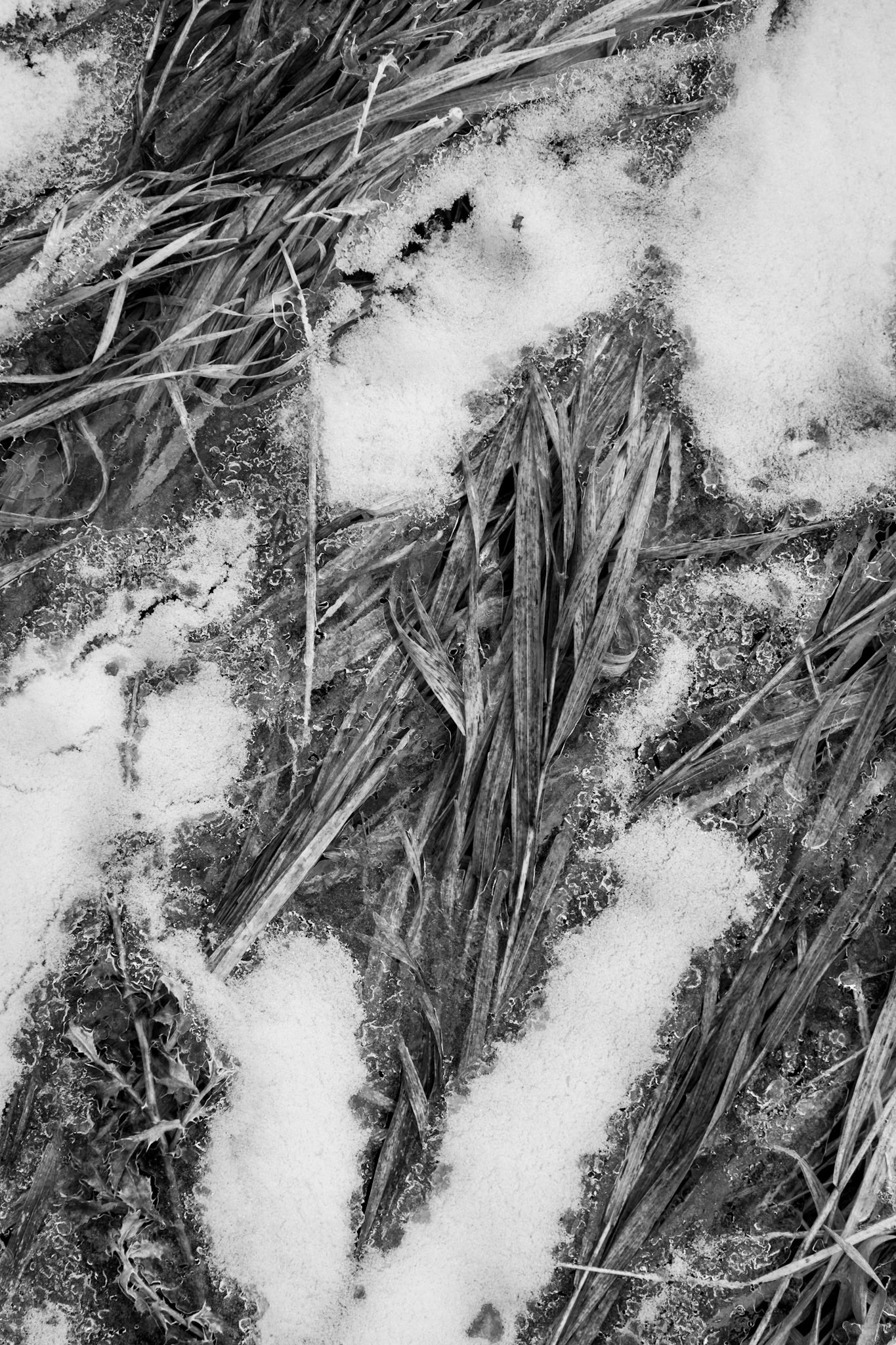 Waiting for a Thaw