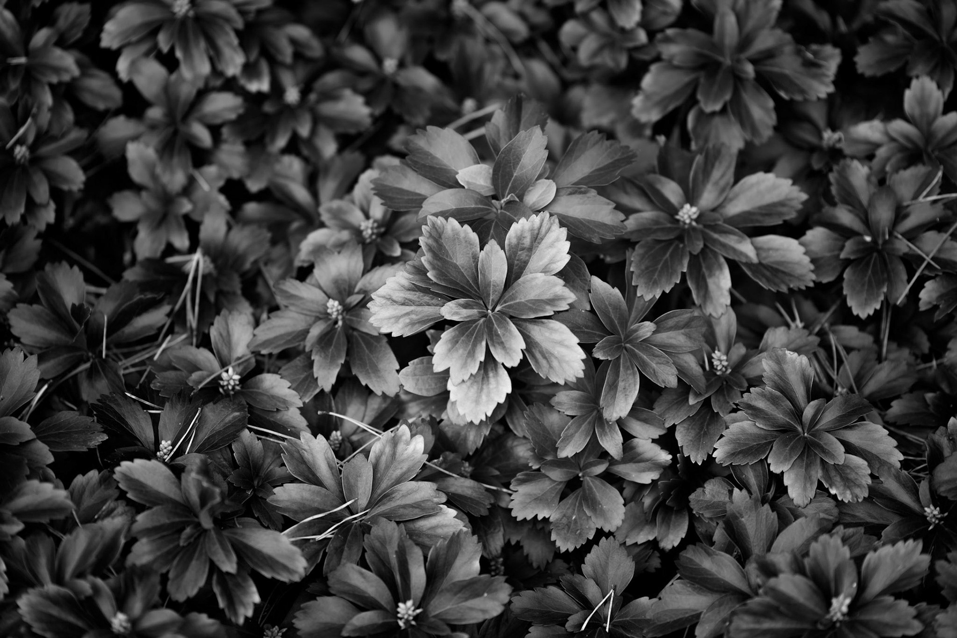 Alone in a Crowd
