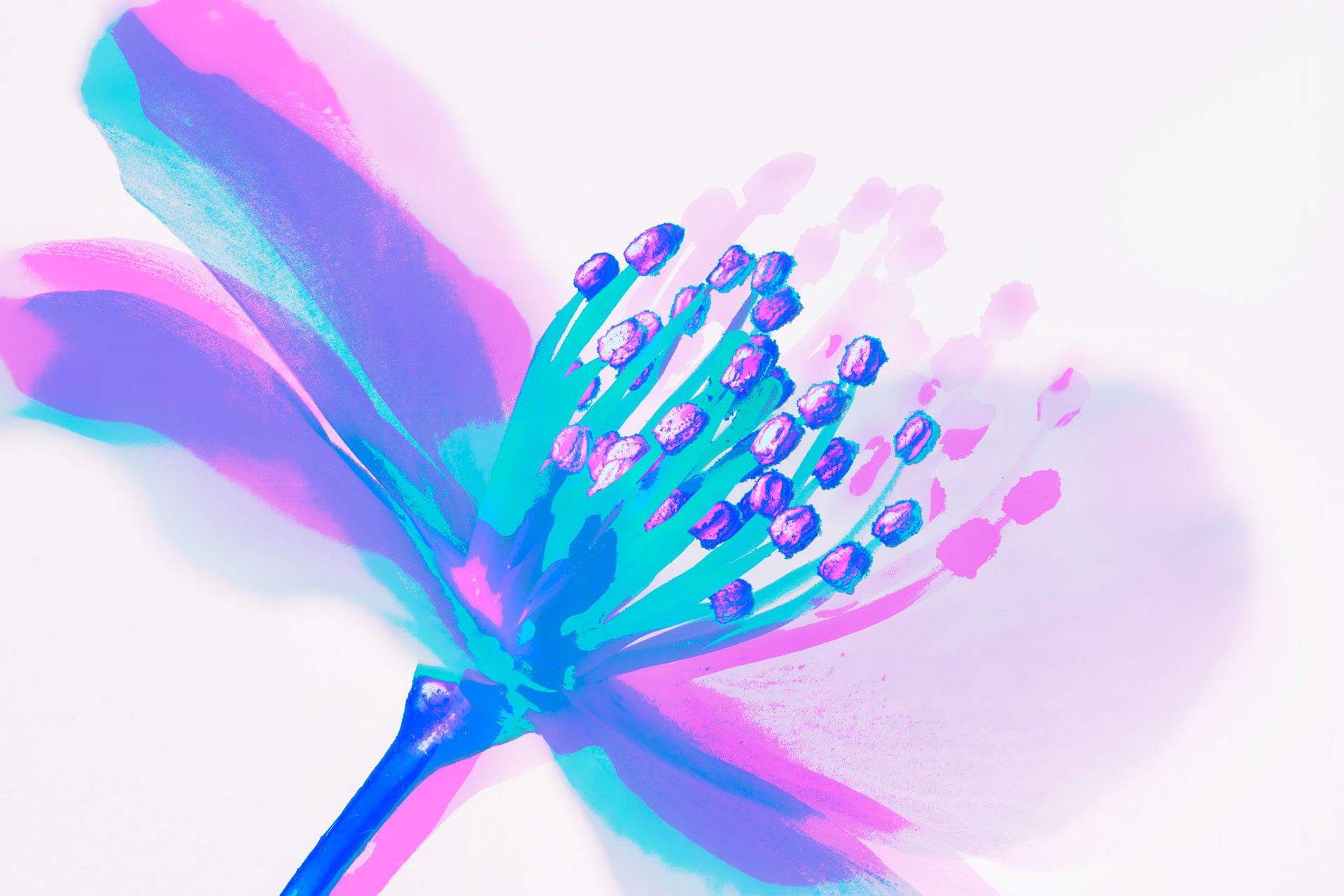Purple Light I
