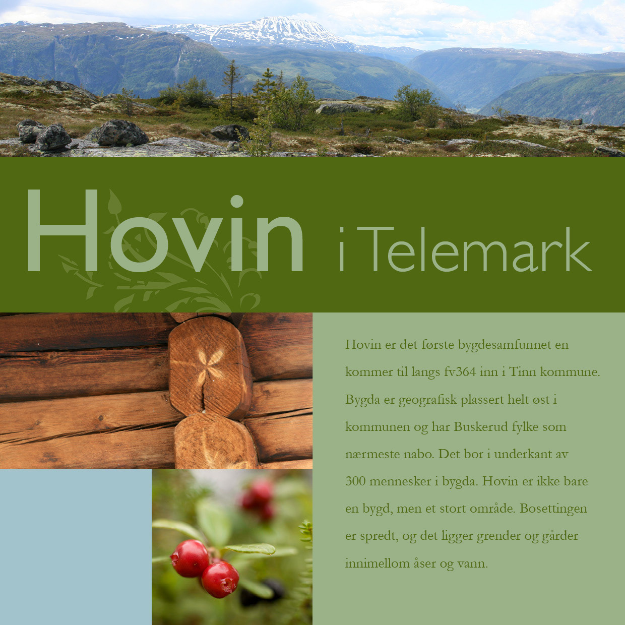 Flyer 210x210
