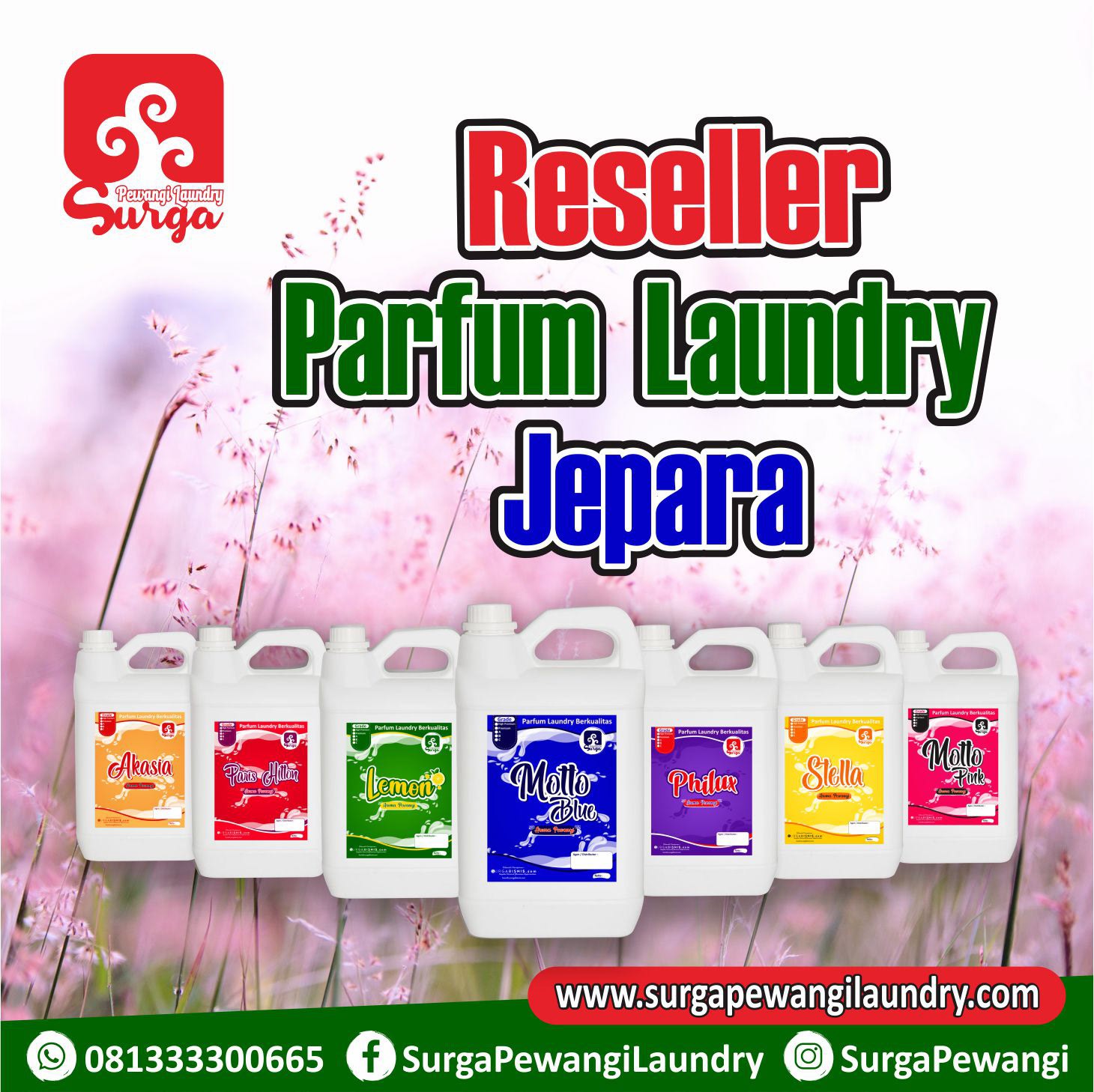Parfum Laundry - Indonesia Laundry and Household Chemicals Manufacture