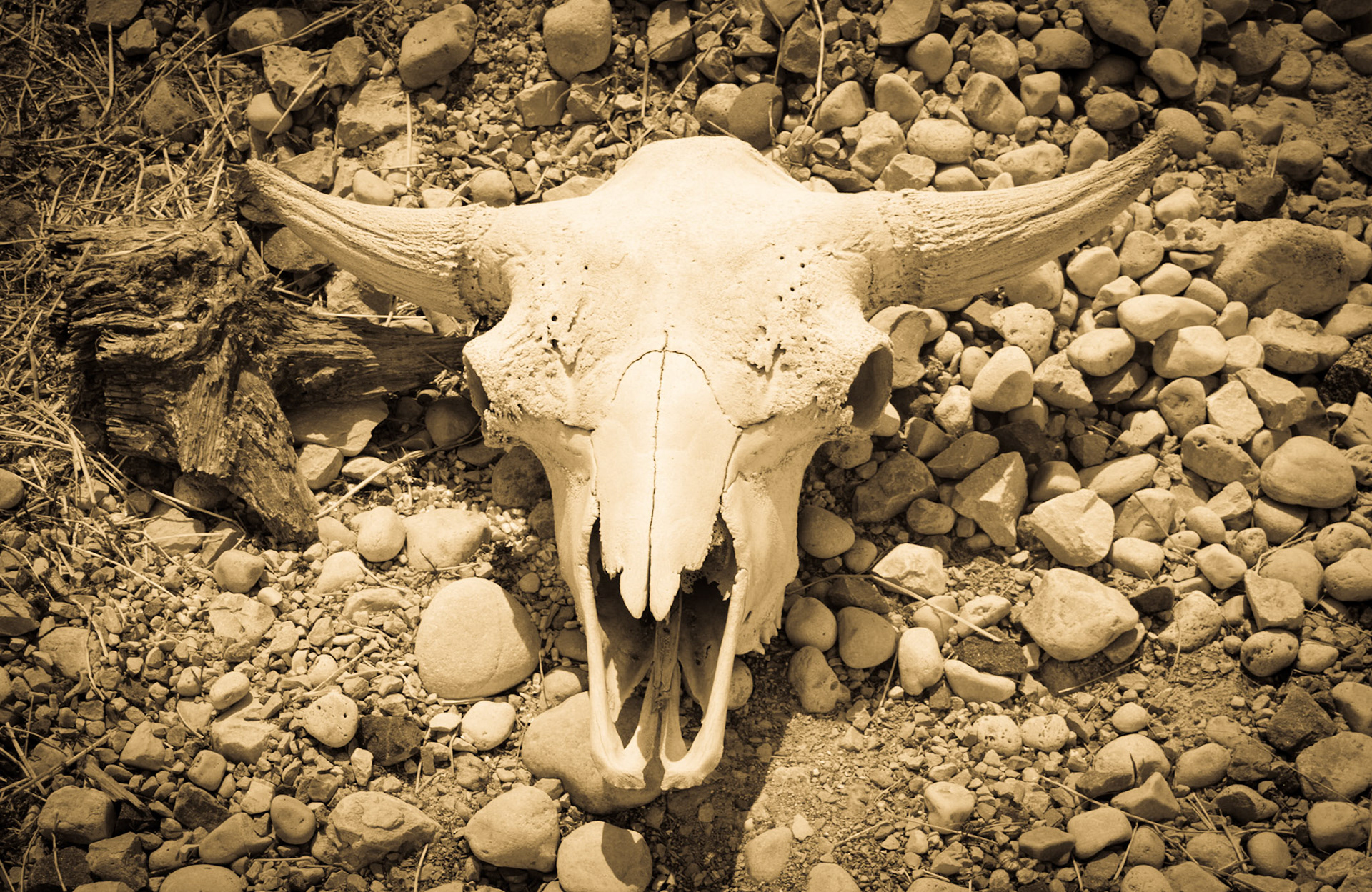 Shalom Wildlife Zoo - 2016-05 - 0233