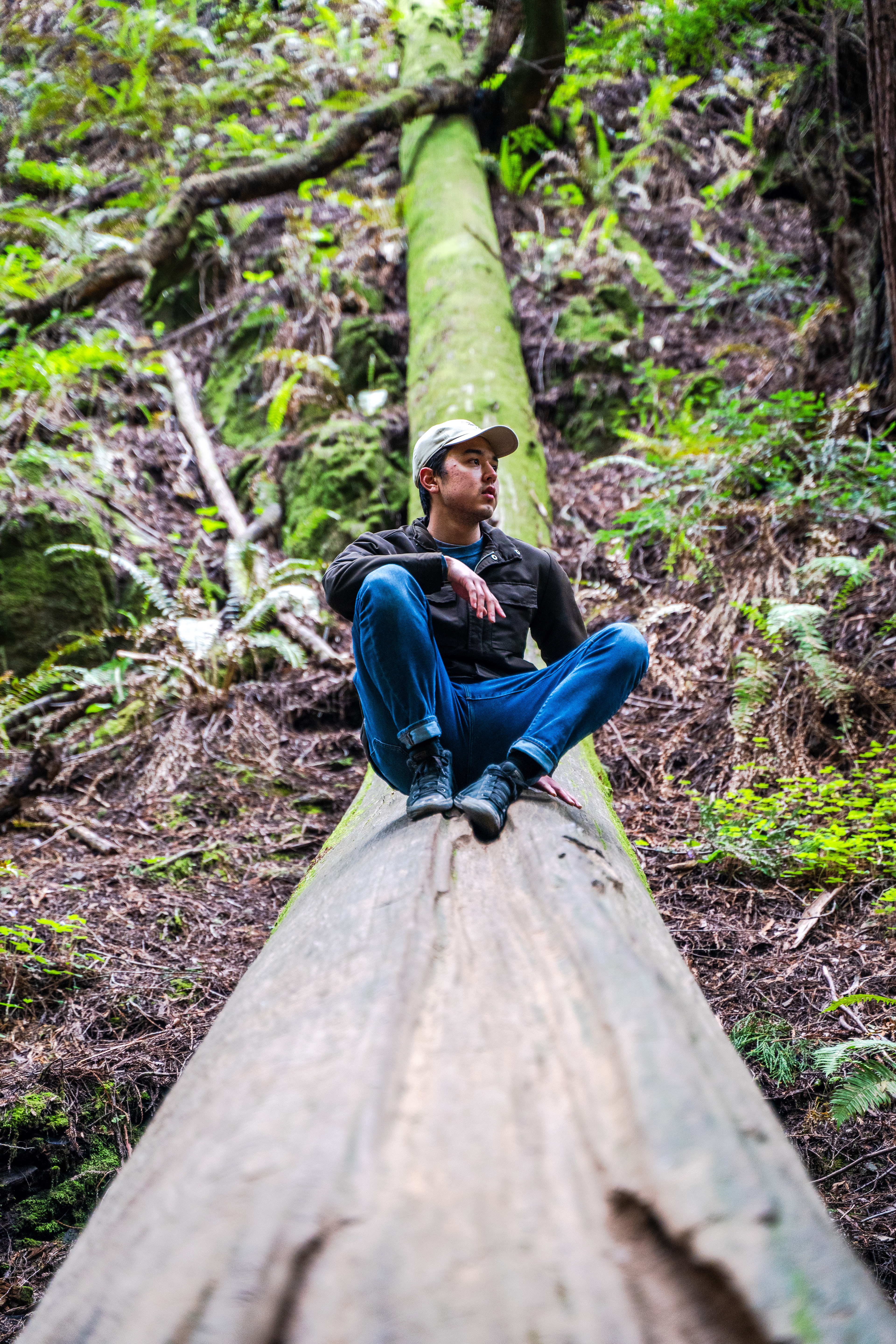 Mill Valley, CA