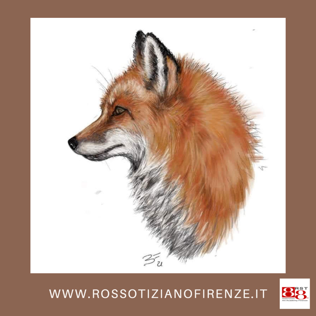 animali con Procreate