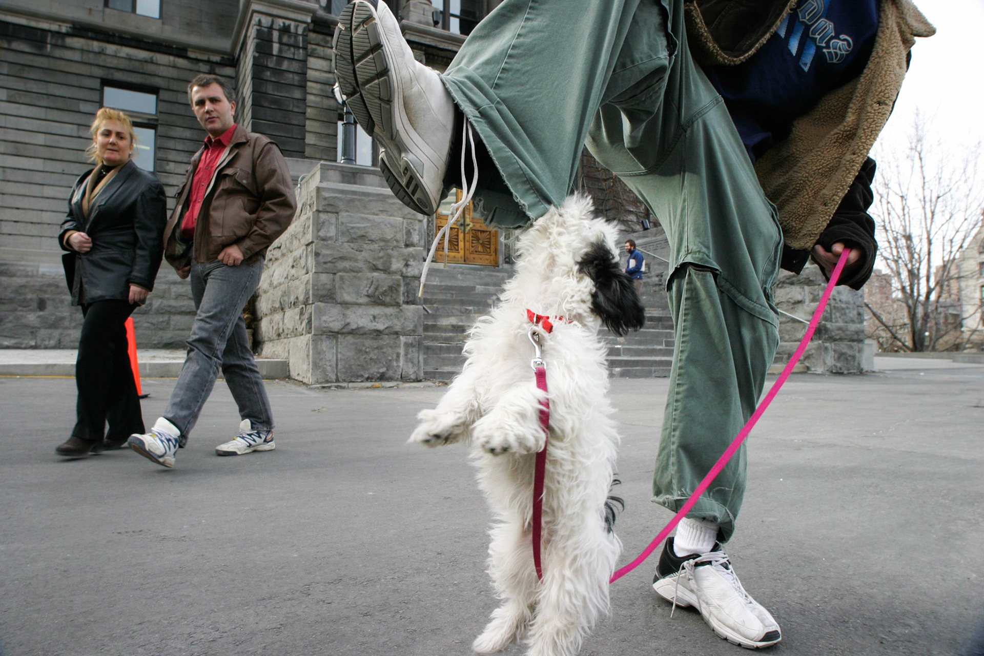 Fashion trends come and go.  "Puppy pants" were all the rage in April 2003.