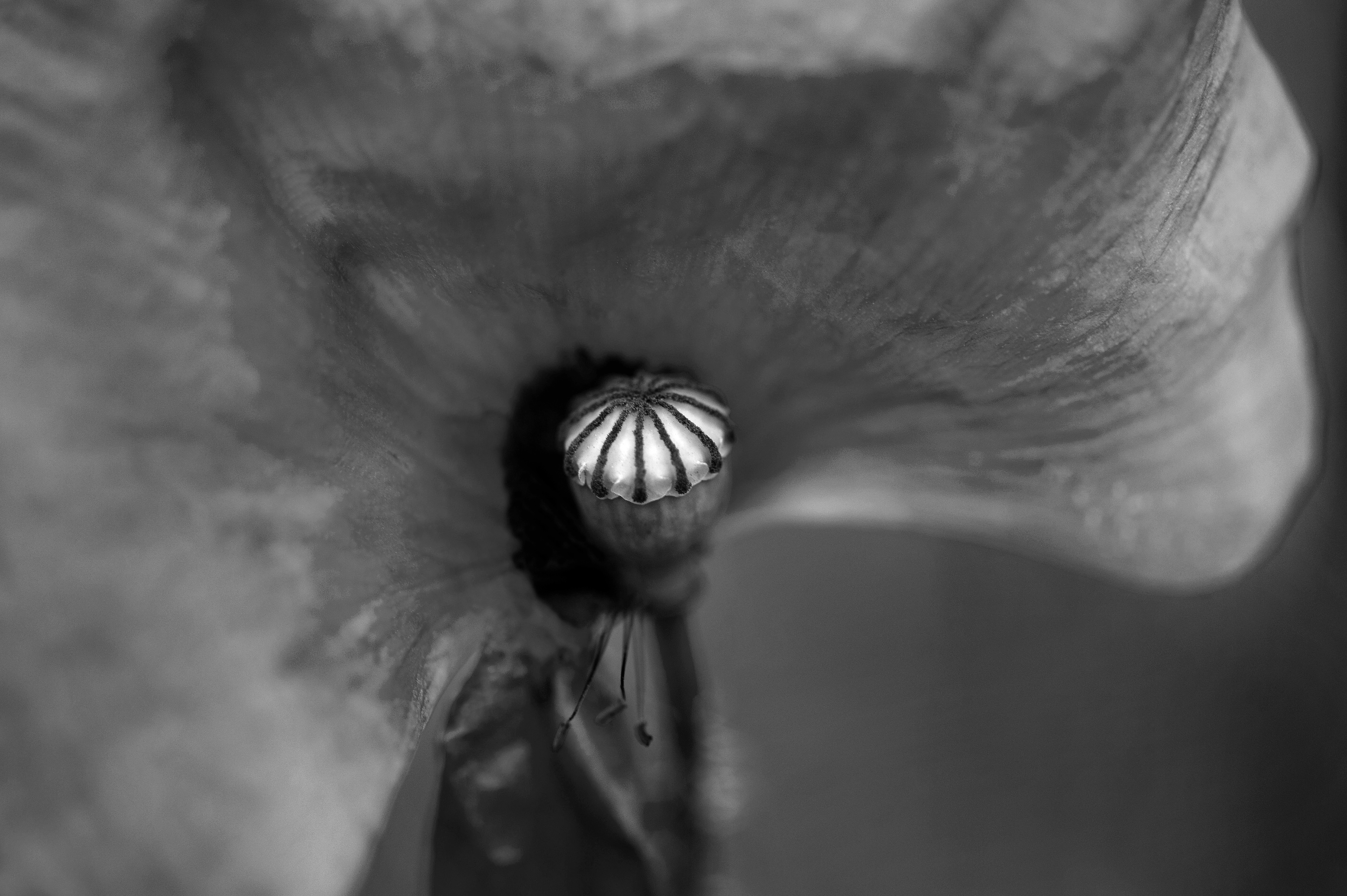 Four Corners (35). Archival pigment print on Arches 88