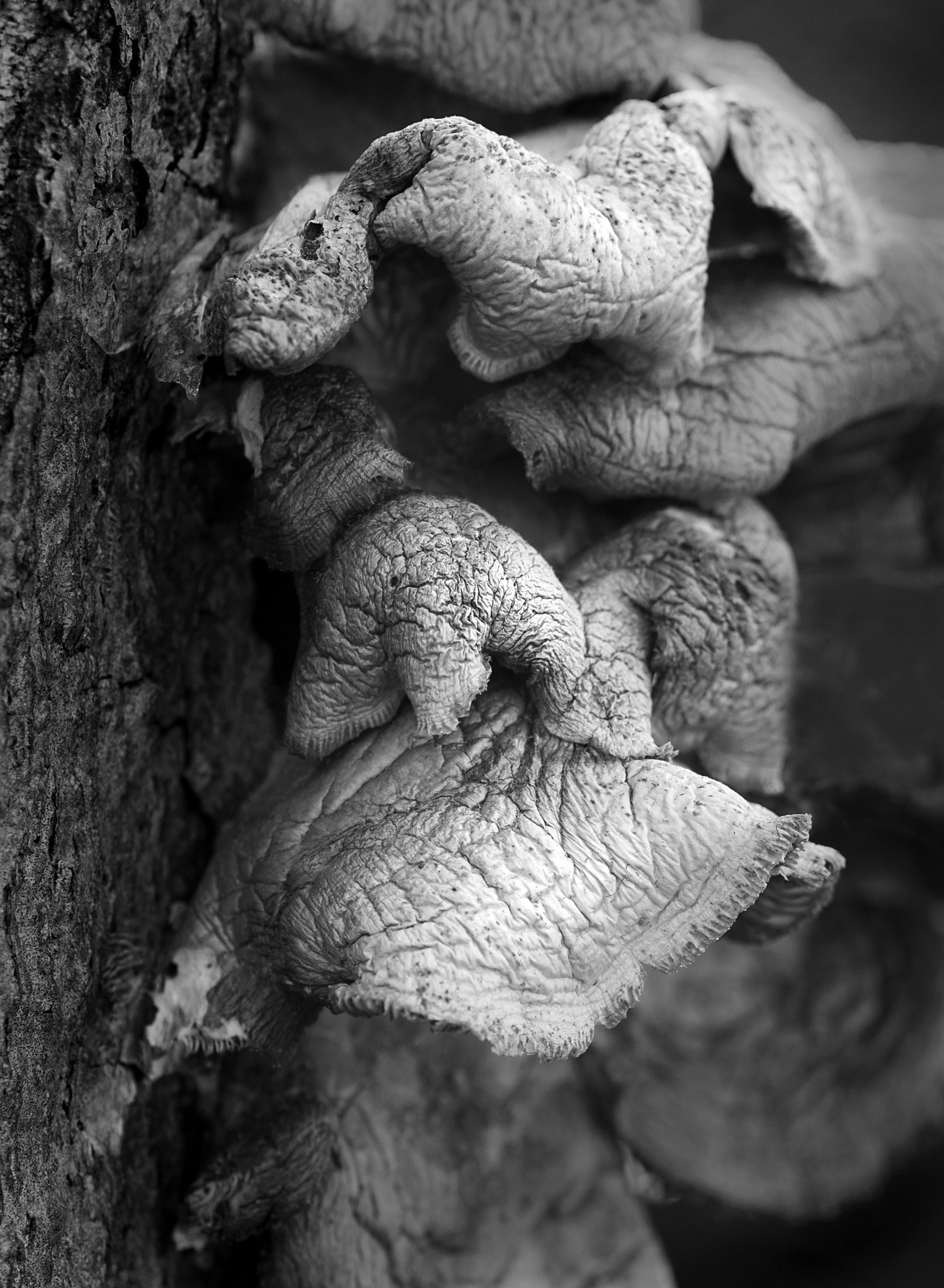 Four Corners (20). Archival pigment print on Arches 88