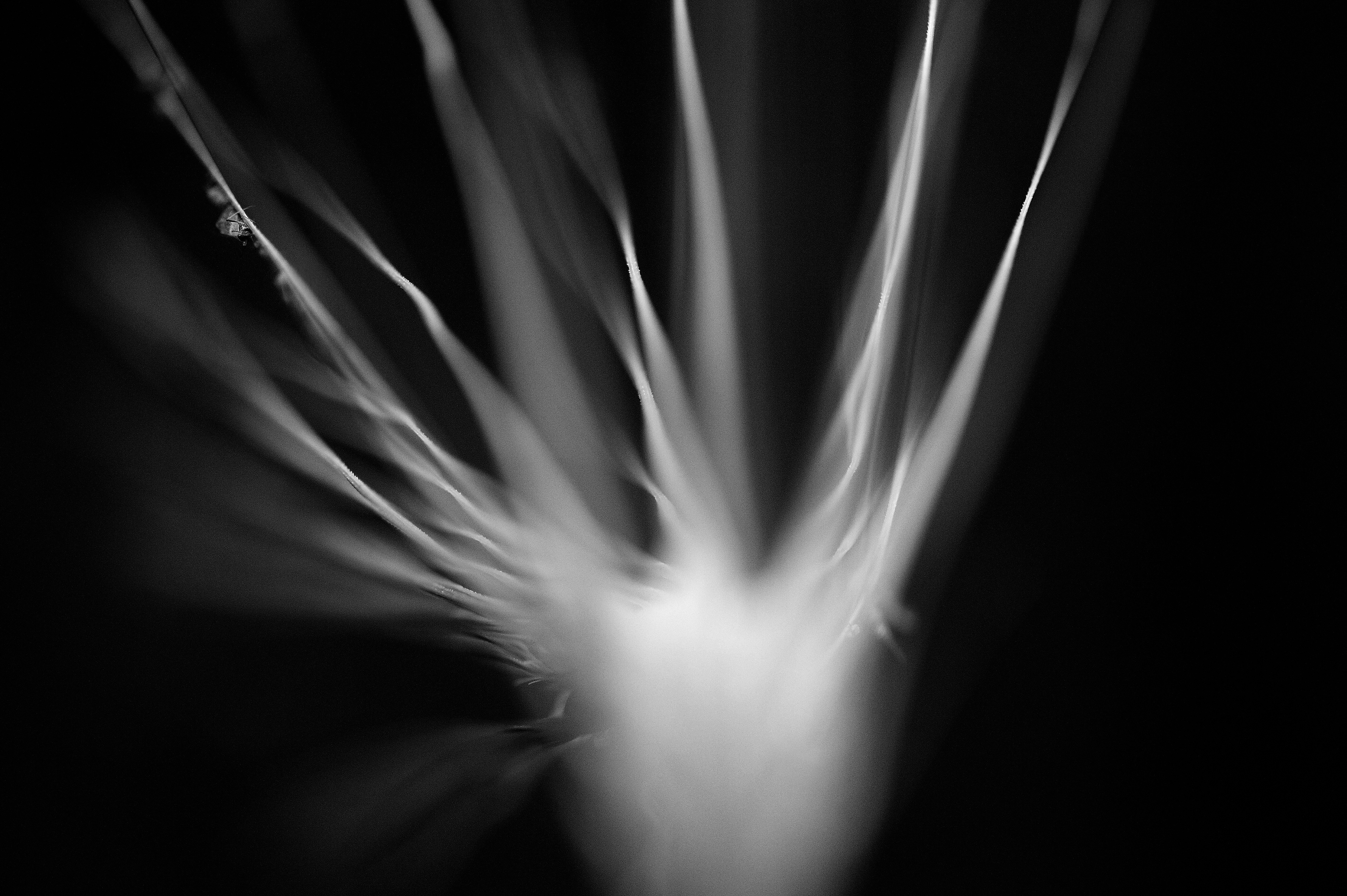 Four Corners (108). Archival pigment print on Arches 88