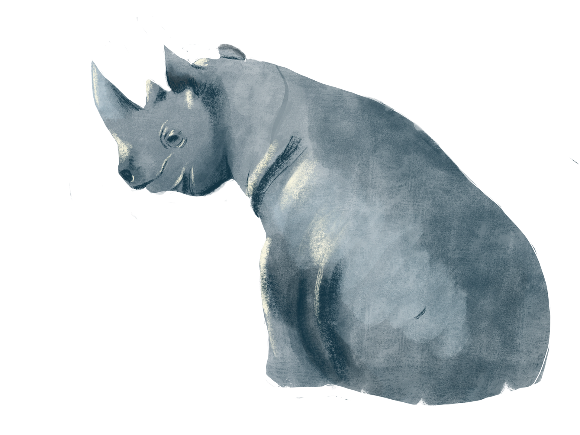 Katty Huertas 5 Critically Endangered Species Animation Katty Huertas 5 Critically Endangered Species Animation