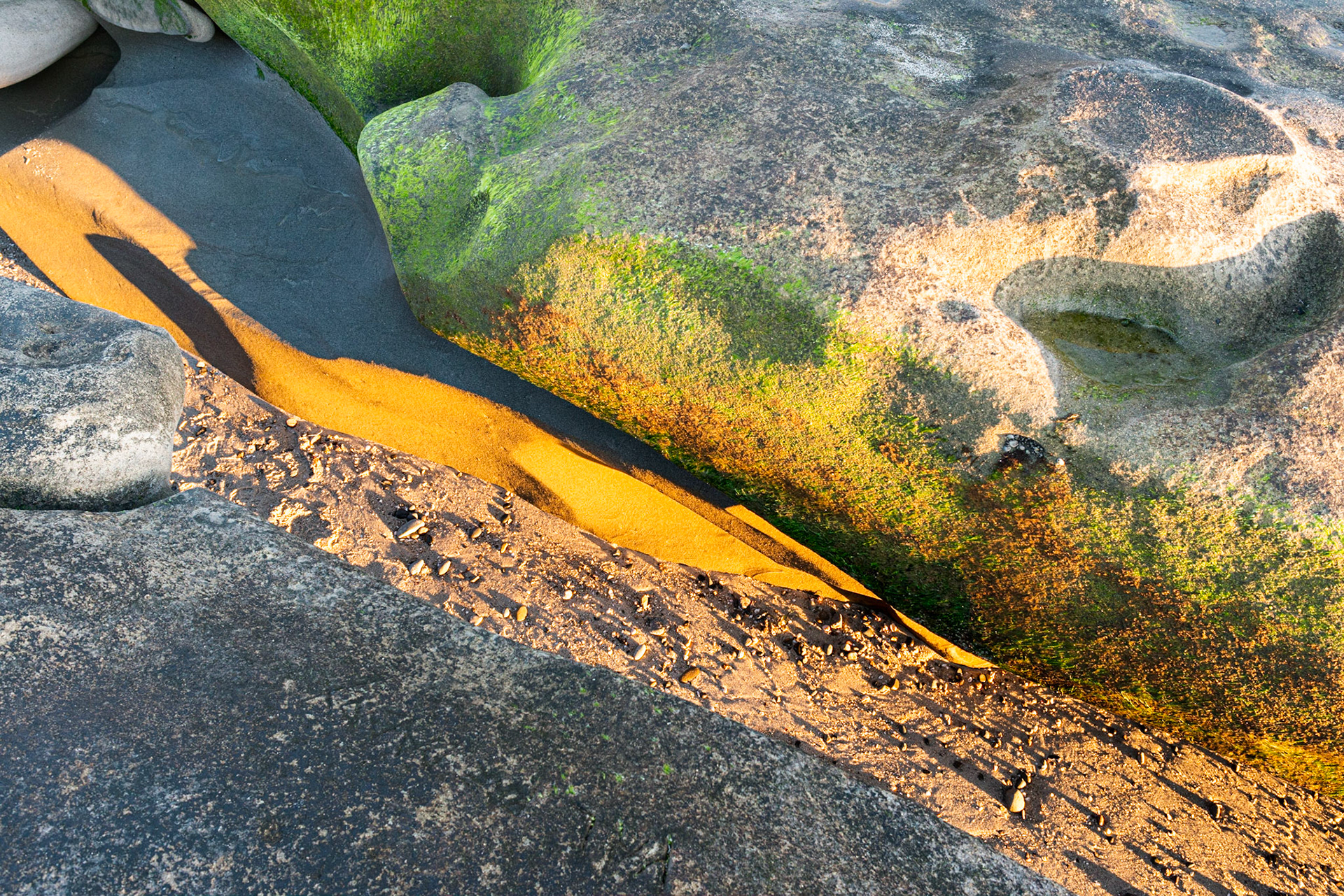 La Jolla Coastal Rock Study 6, 2015