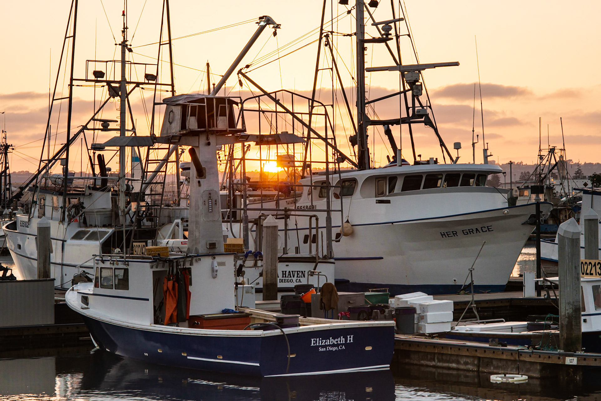 Tuna Harbor, San Diego, CA 2014