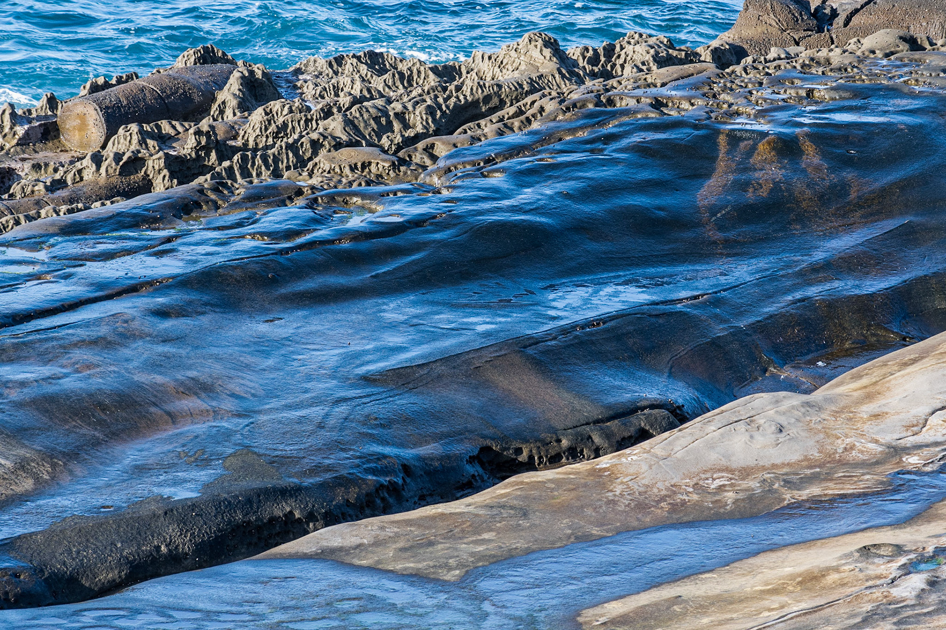 La Jolla Coastal Rock Study 41, 2019
