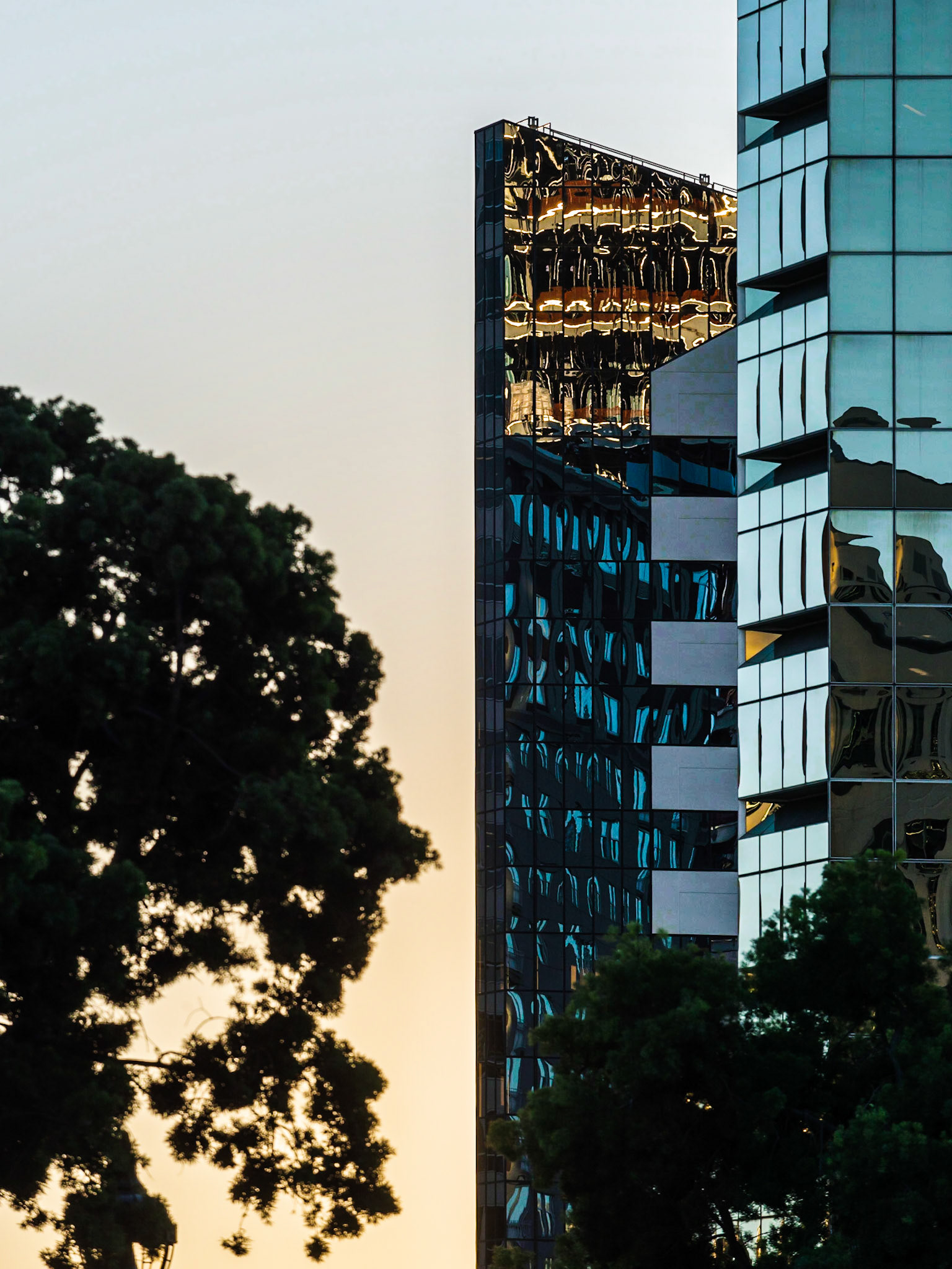 Mirrored Building and Tree, Downtown, San Diego, 2015
