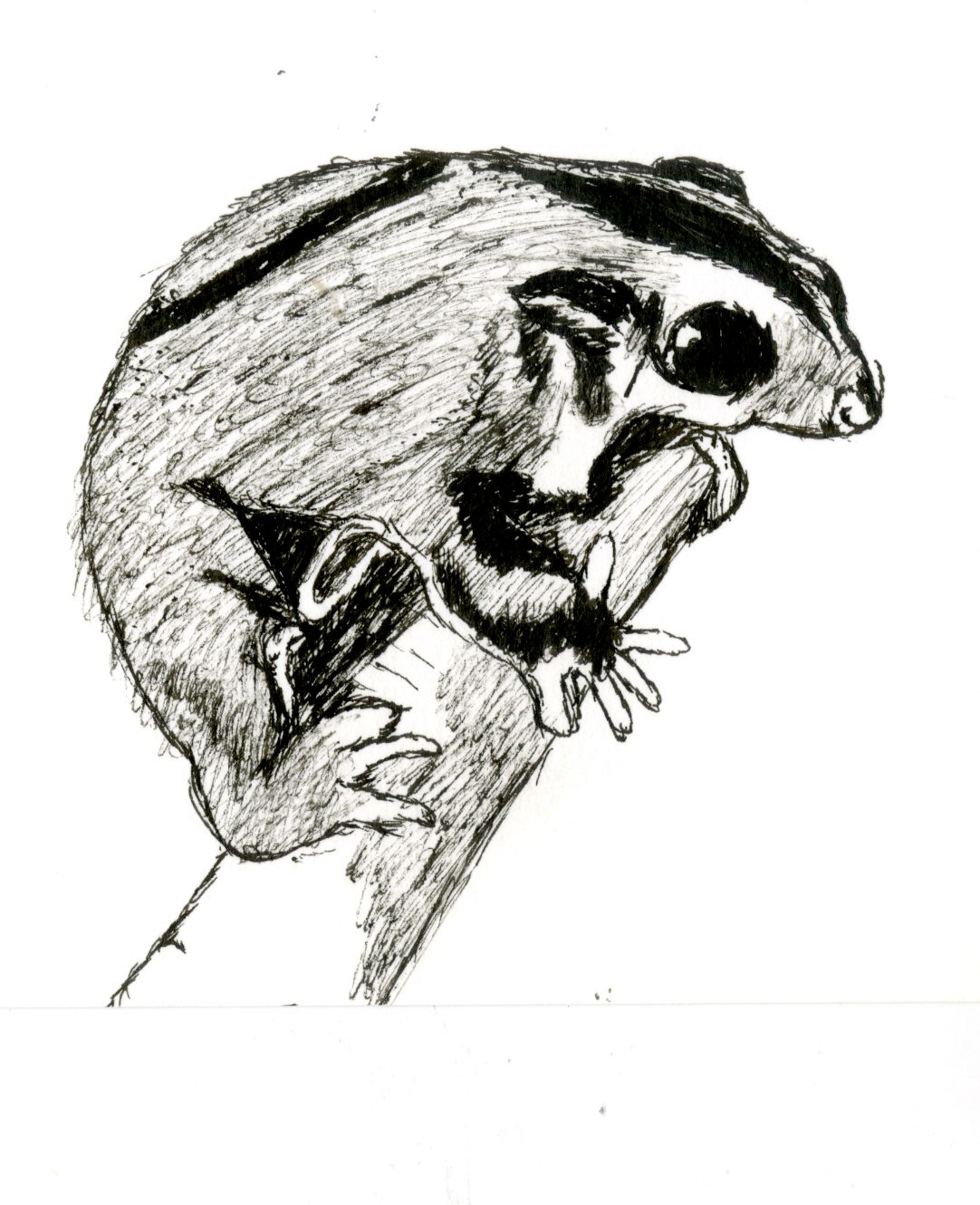 Drawn with Micron pen on paper.