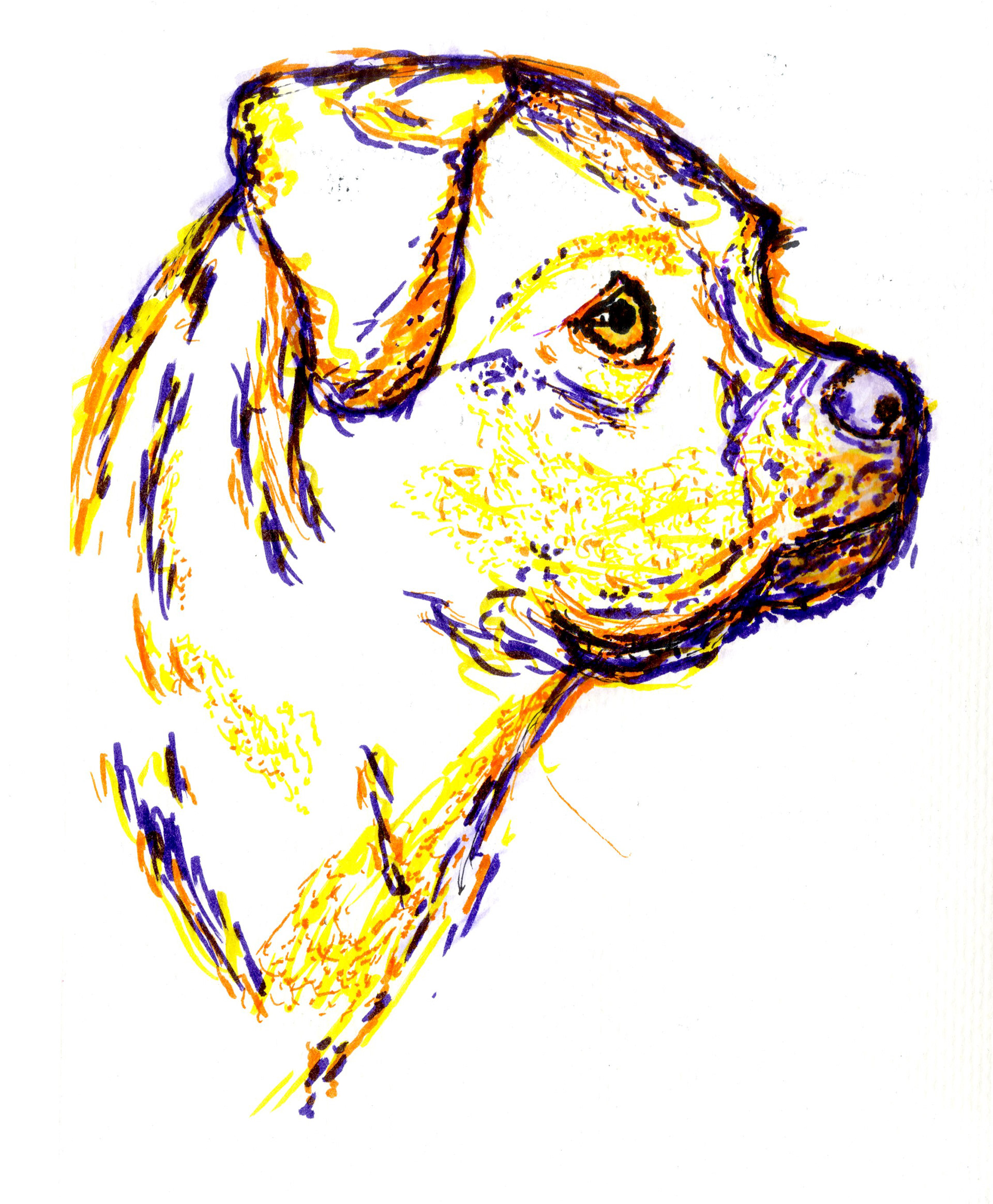 Drawn with Tombow Duel Brush pens on watercolor paper.
