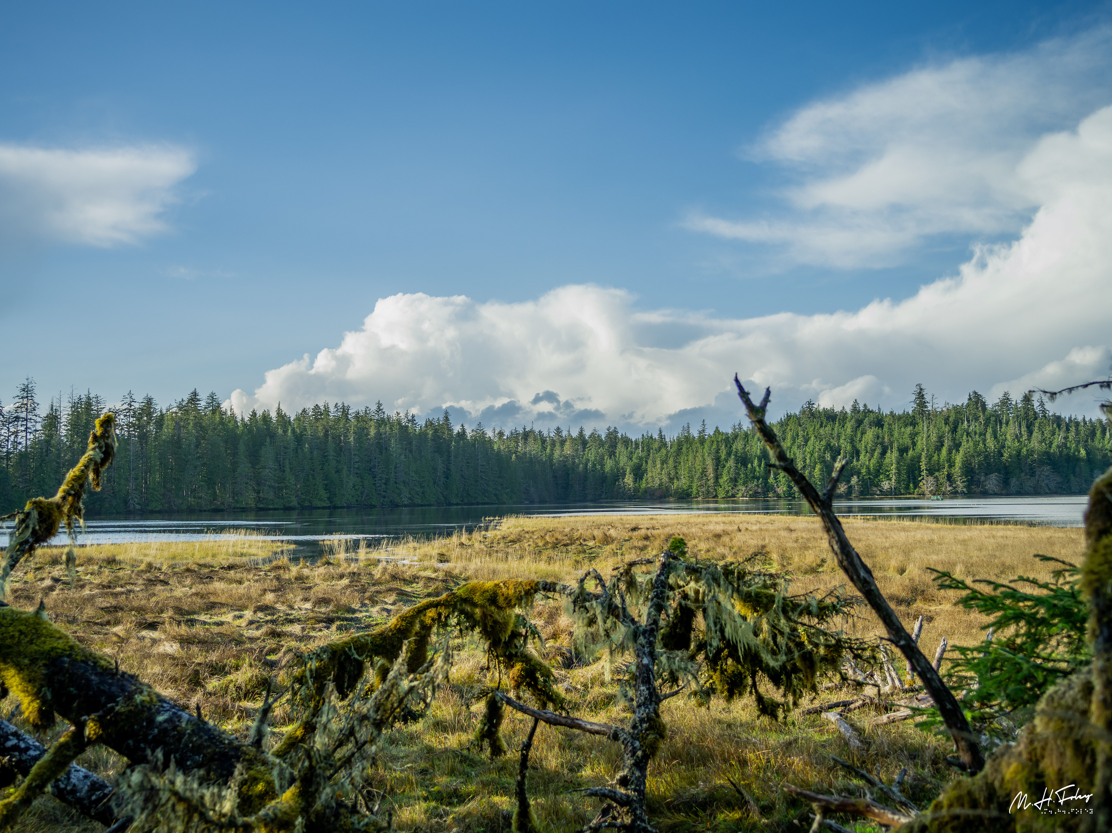 Haida Gwaii, BC / 2018