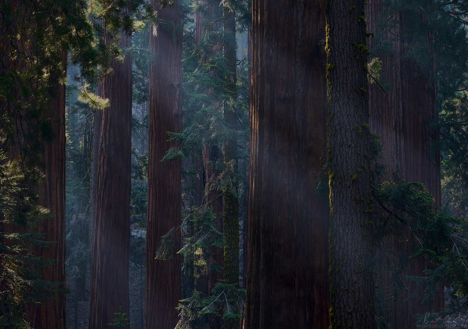 Sleeping Giants