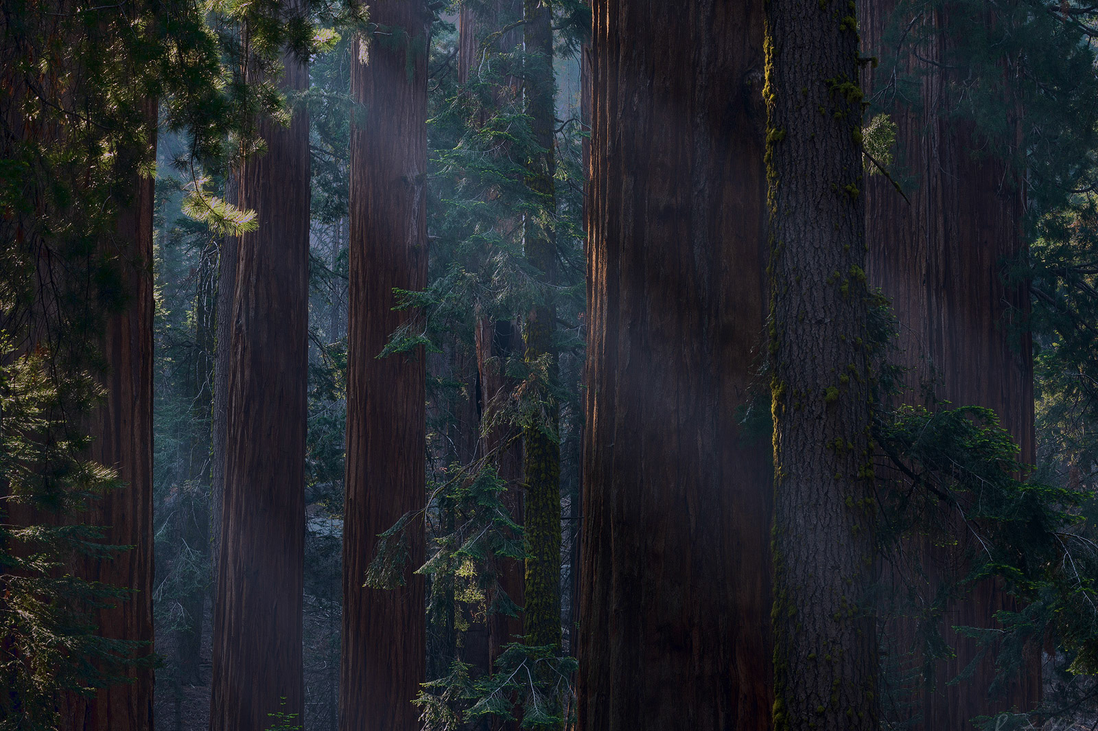 Sleeping Giants