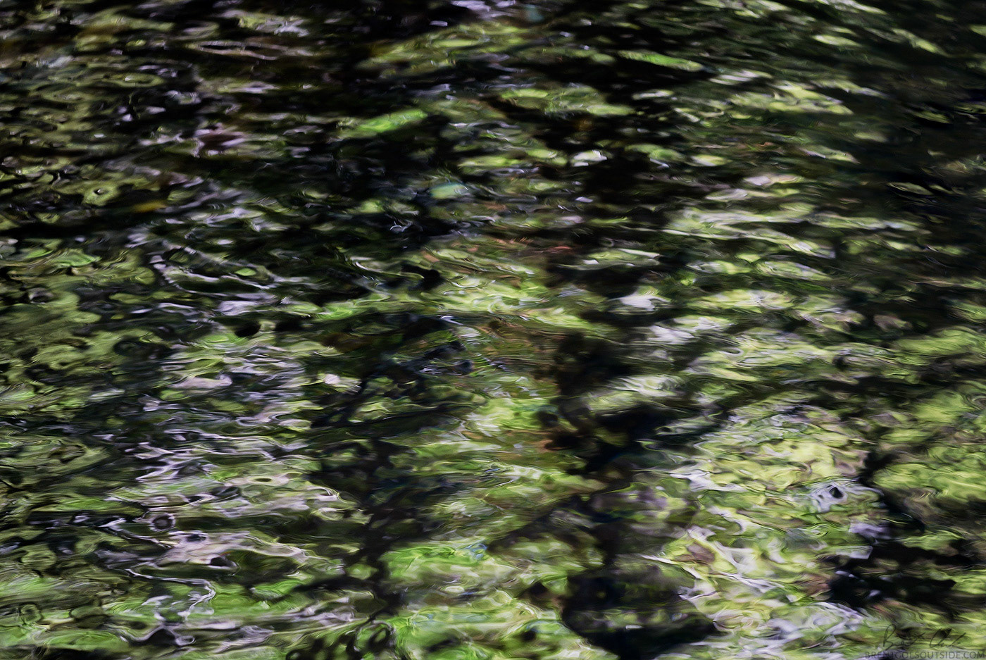 Oil on Canvas; Digital Photograph