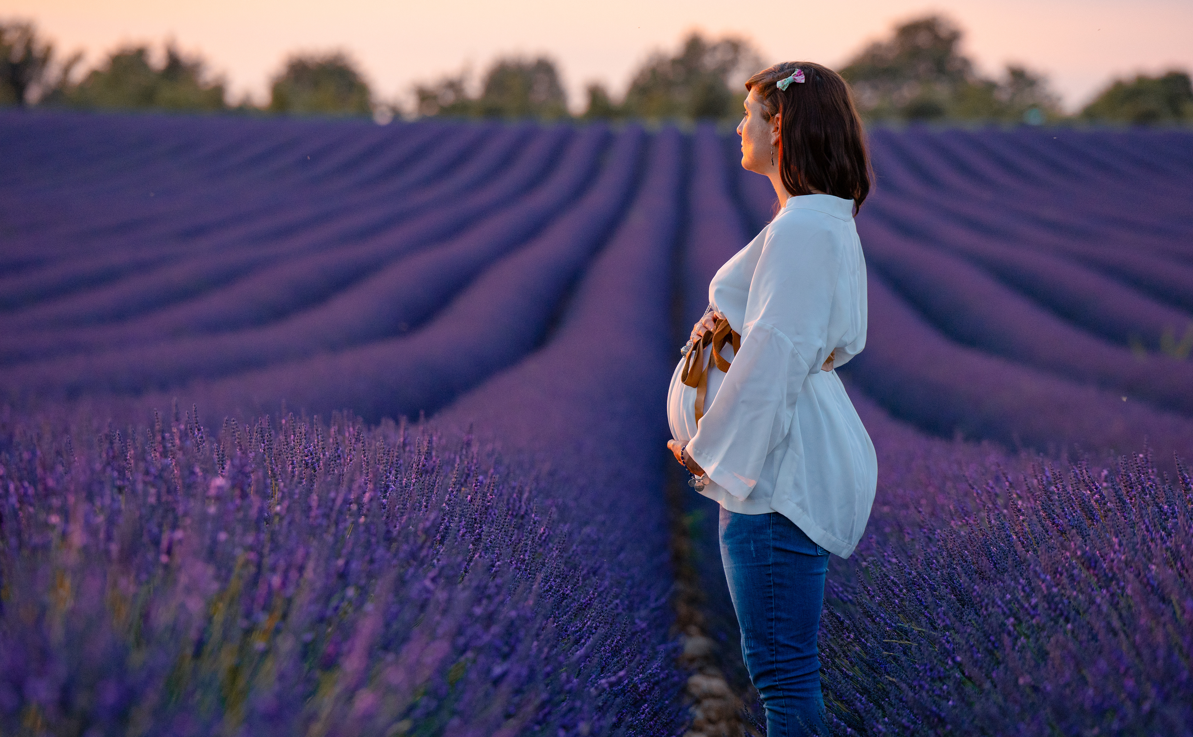 Valensole, France, 2020