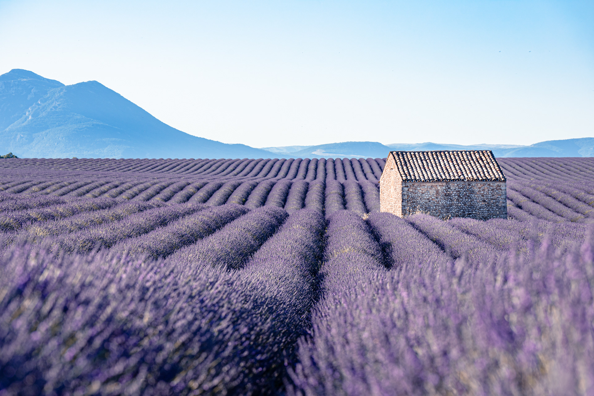 Provence, 2020