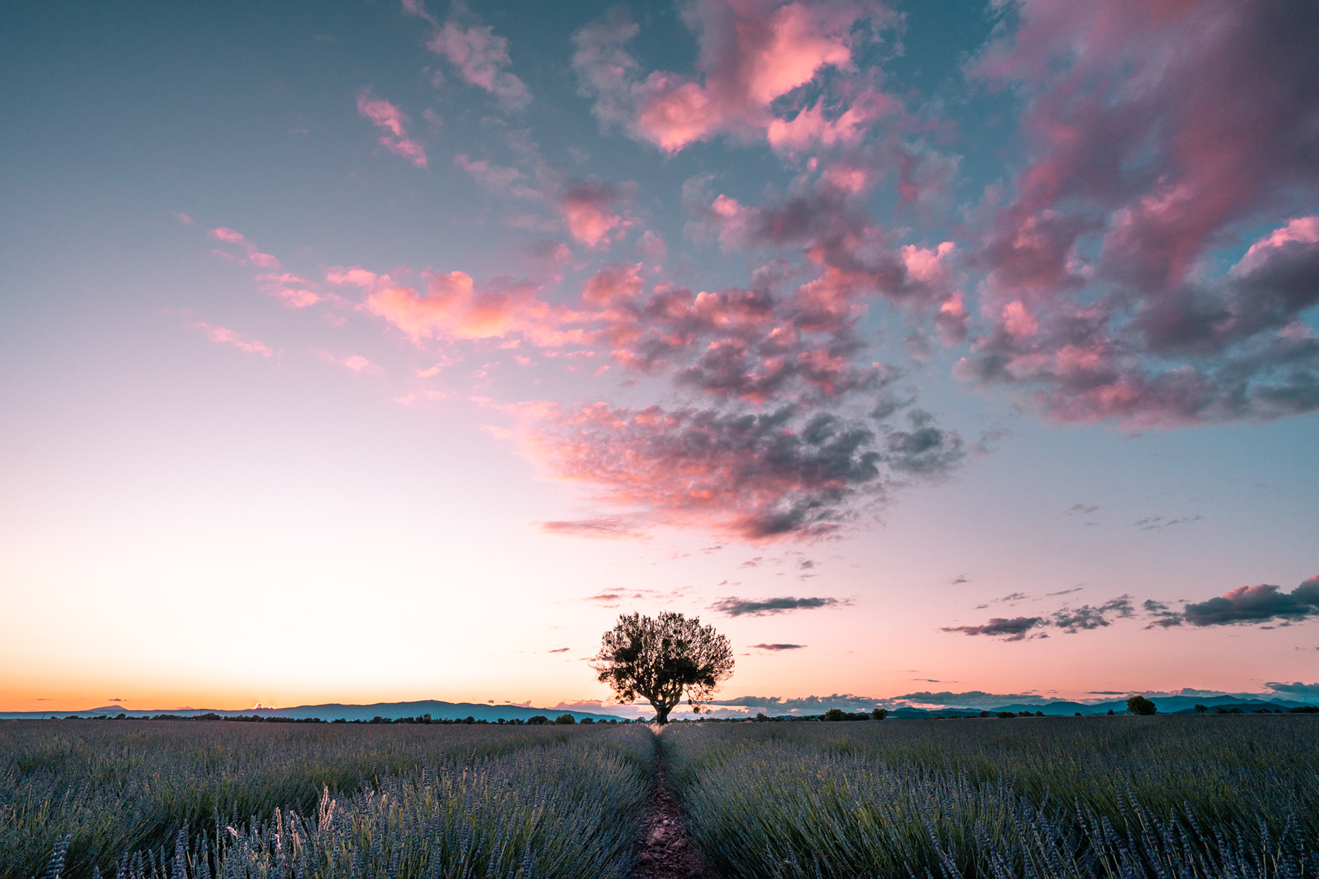 Provence, 2020