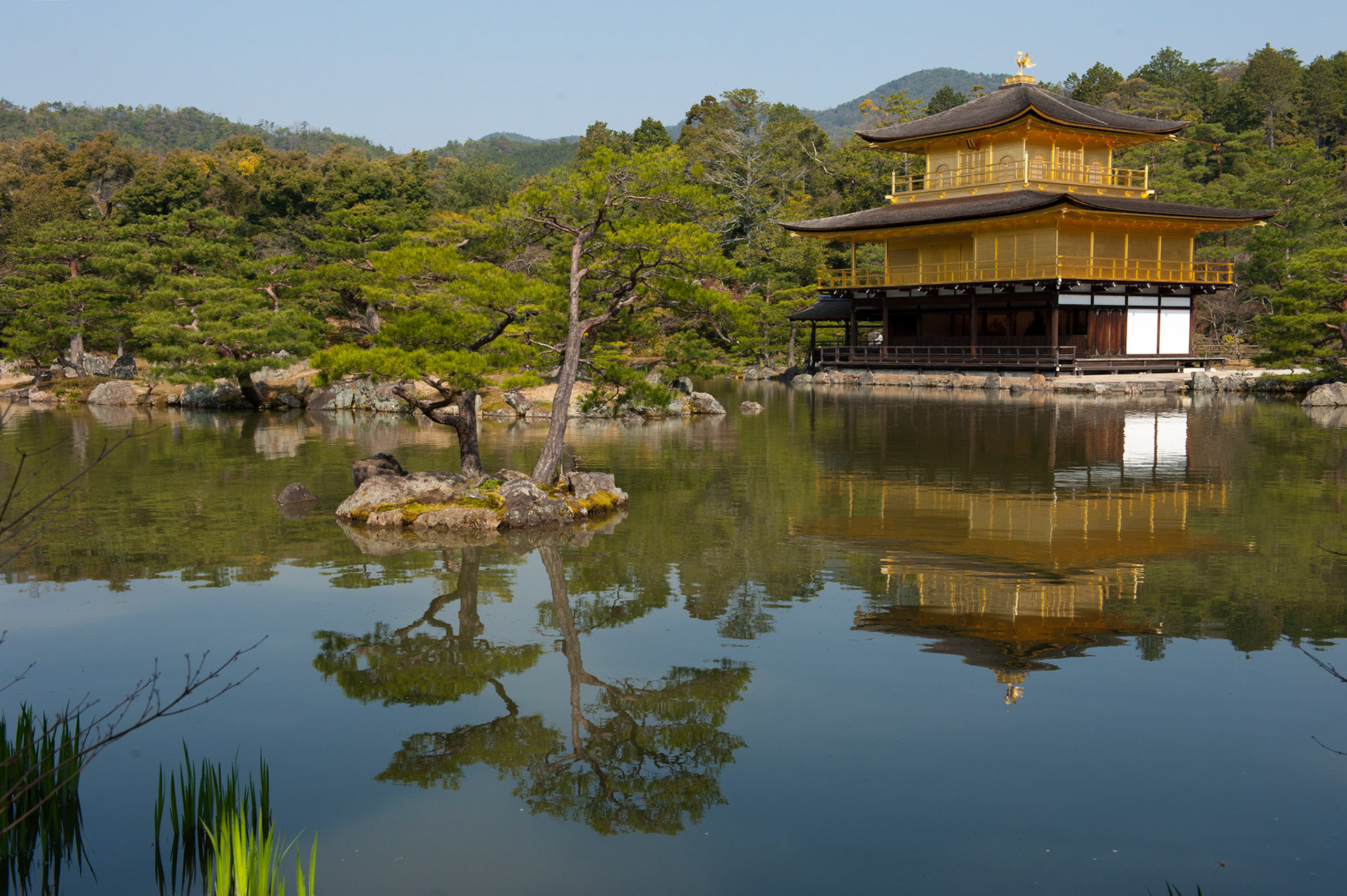 Vivid Corvid Photography - Japan: Gin and Kin