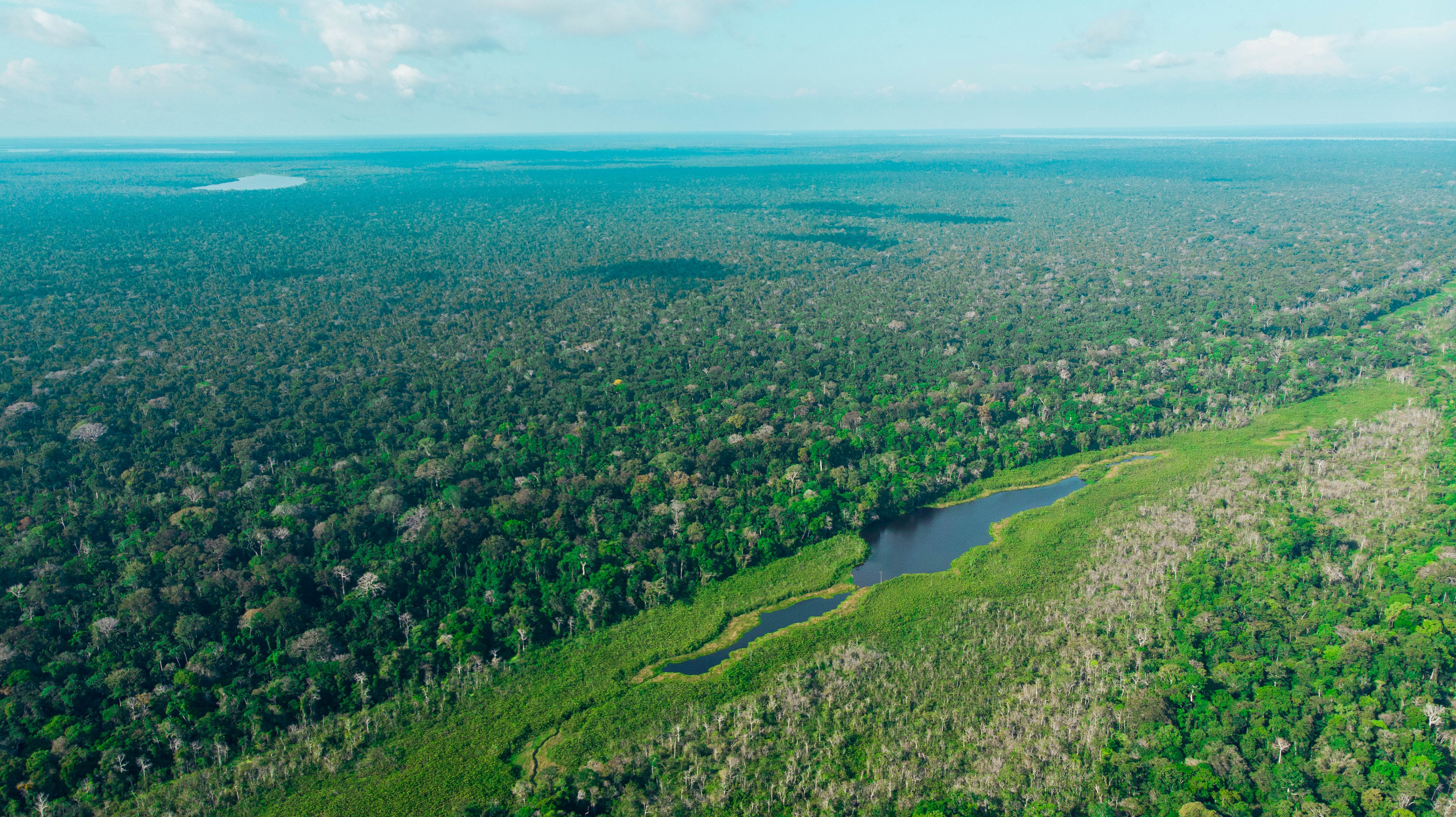 Lake n Trees - Fonte Boa, Amazonas - Jul 2018
