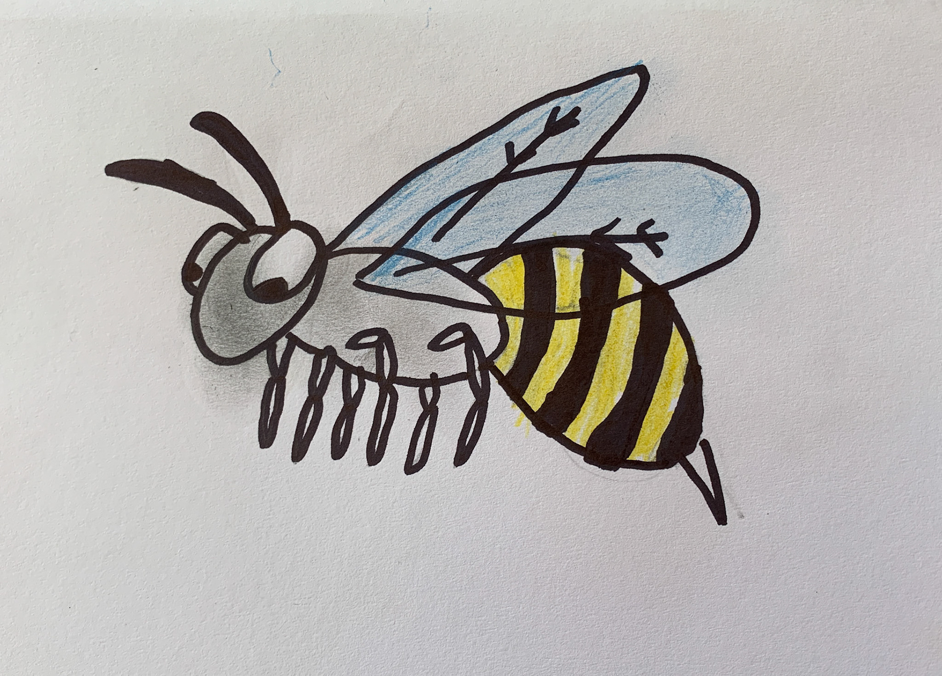 Senna Wilkinson Rm 2