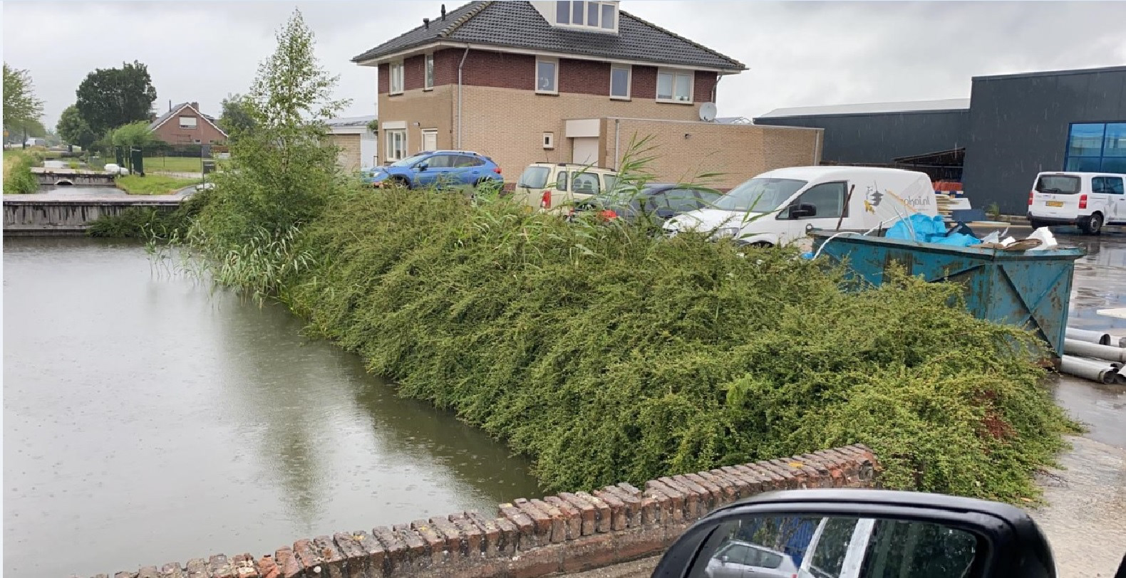 Foto 1: Coteniaster vooraf