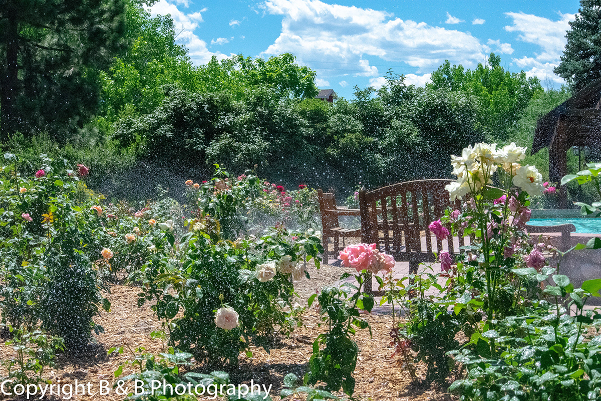 B & B Photography Littleton Hudson Garden