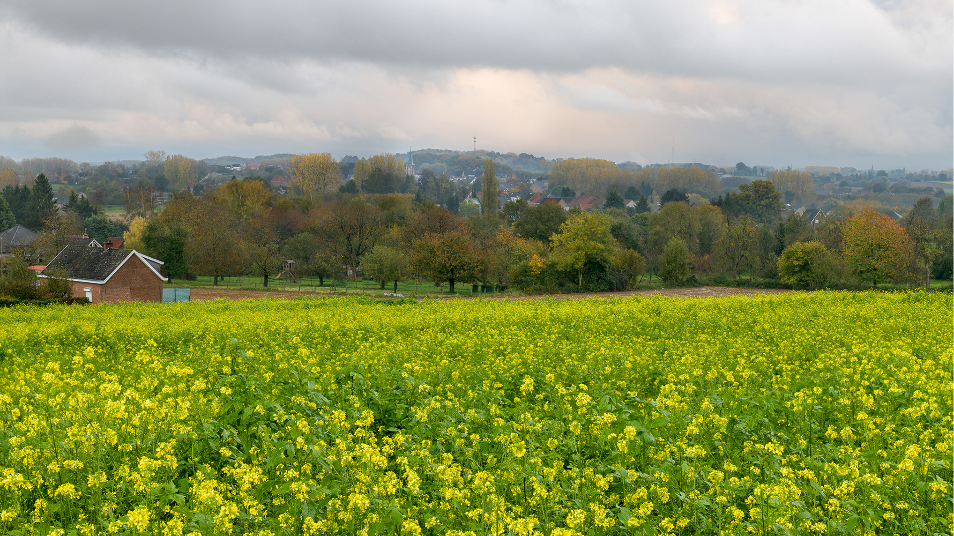 Landscapes by Pascal Hibon Pajottenland