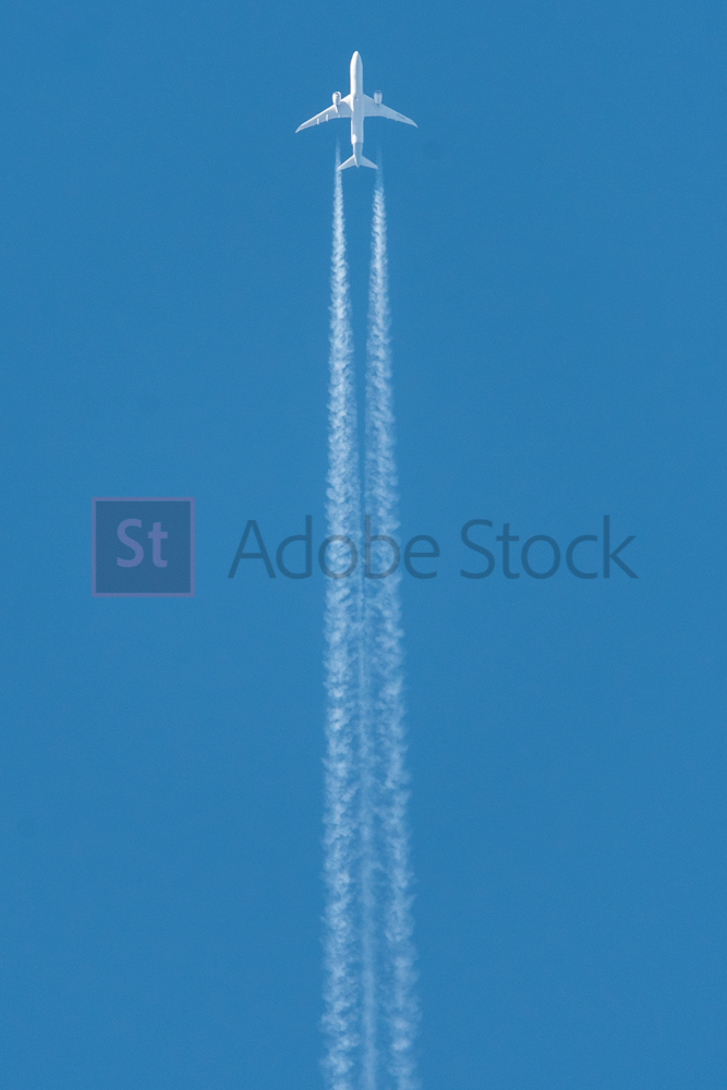 ADOBE FILE #