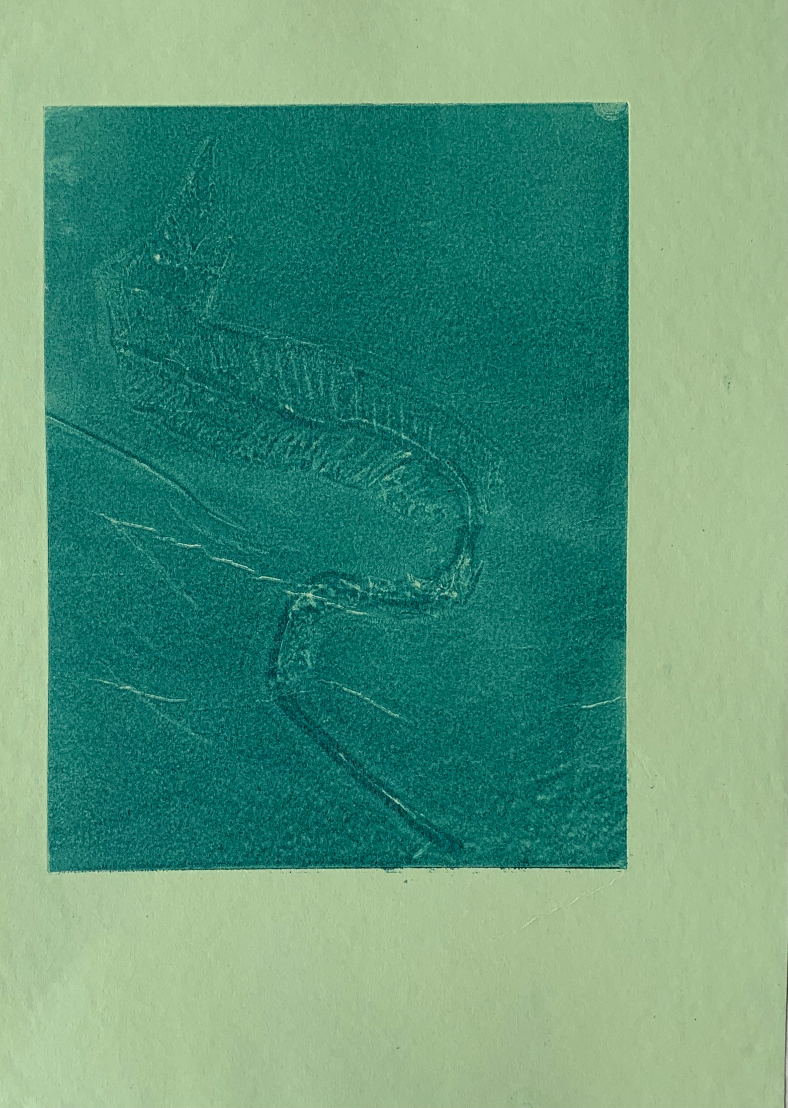 Collagraph on paper, 29.7 x 42 cm