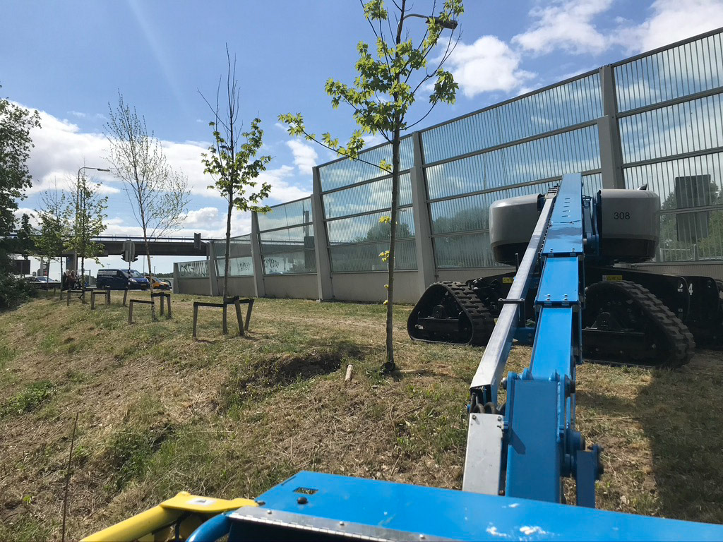 Snoeien met hoogwerker / Platform pruning