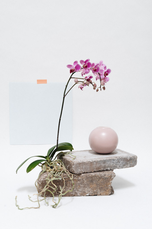Photography: Kalan Briggs Styling: Erin Walsh
