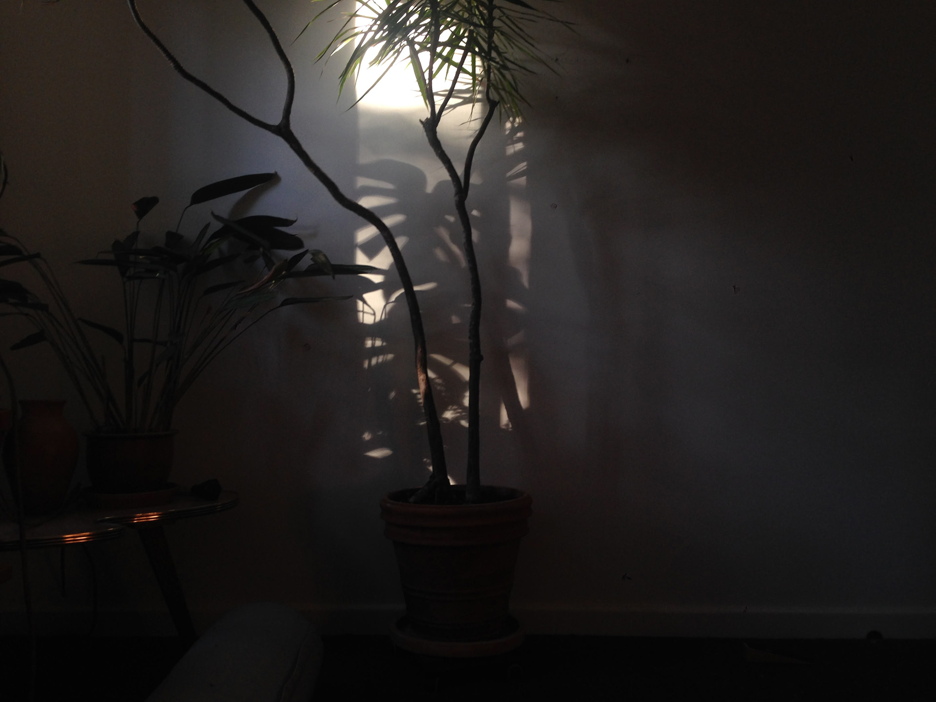 Photography by Taylor Ryan