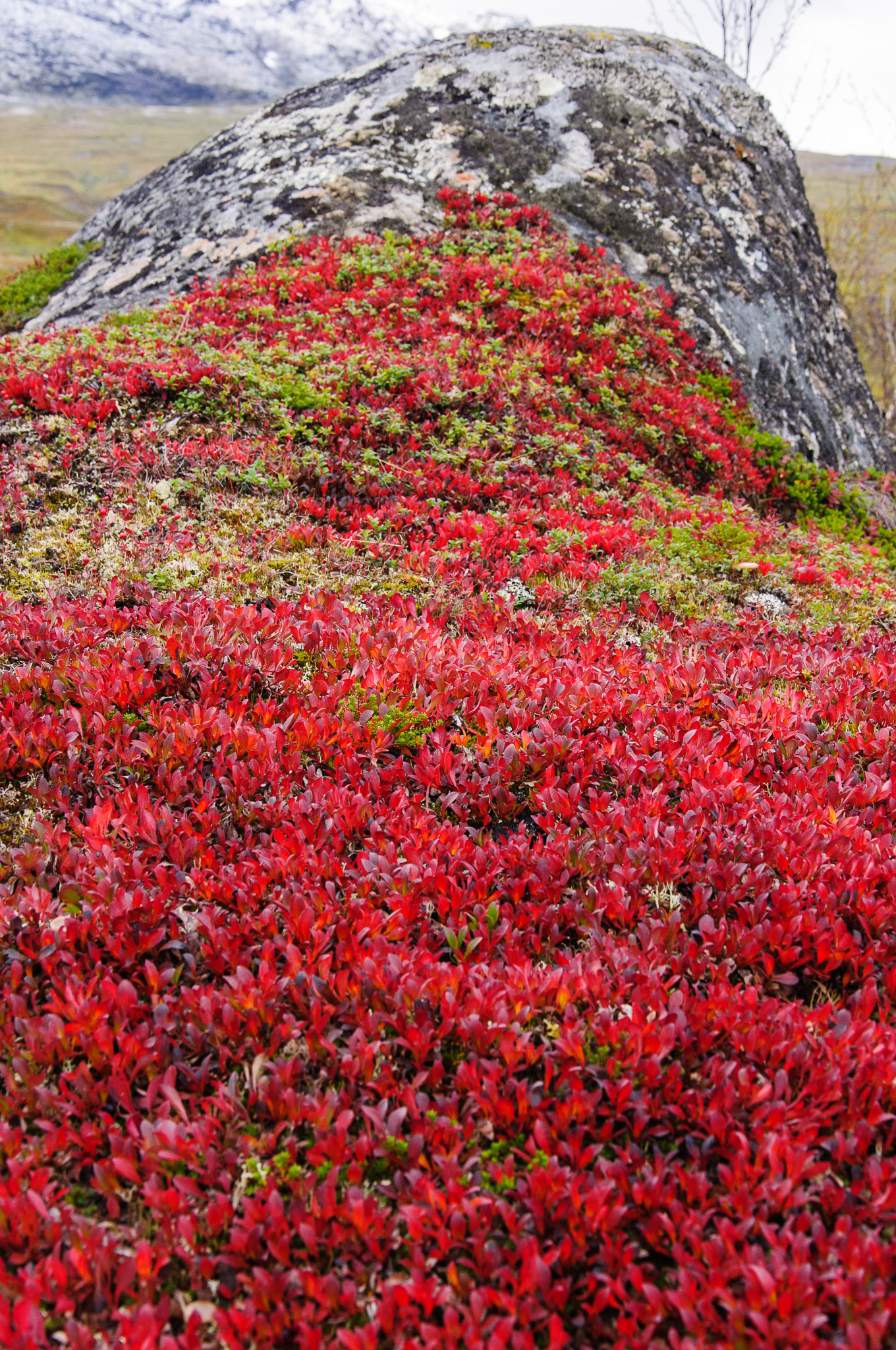 Abisko
