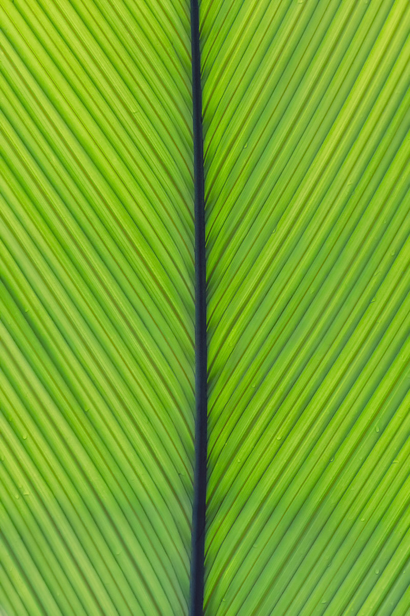 Symmetry