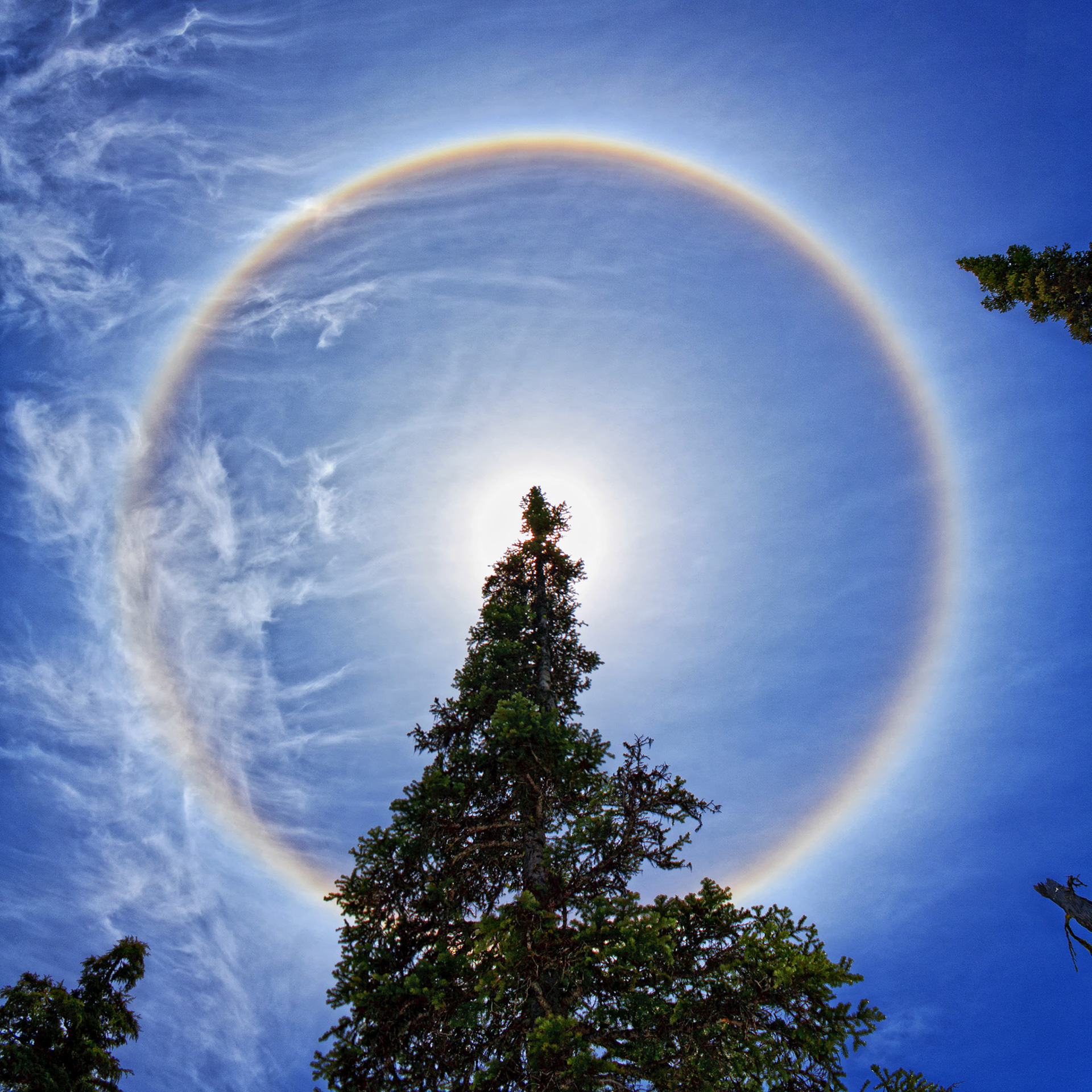 Cirrus solar halo over the Green Lakes Trail, Three Sisters National Wilderness Area