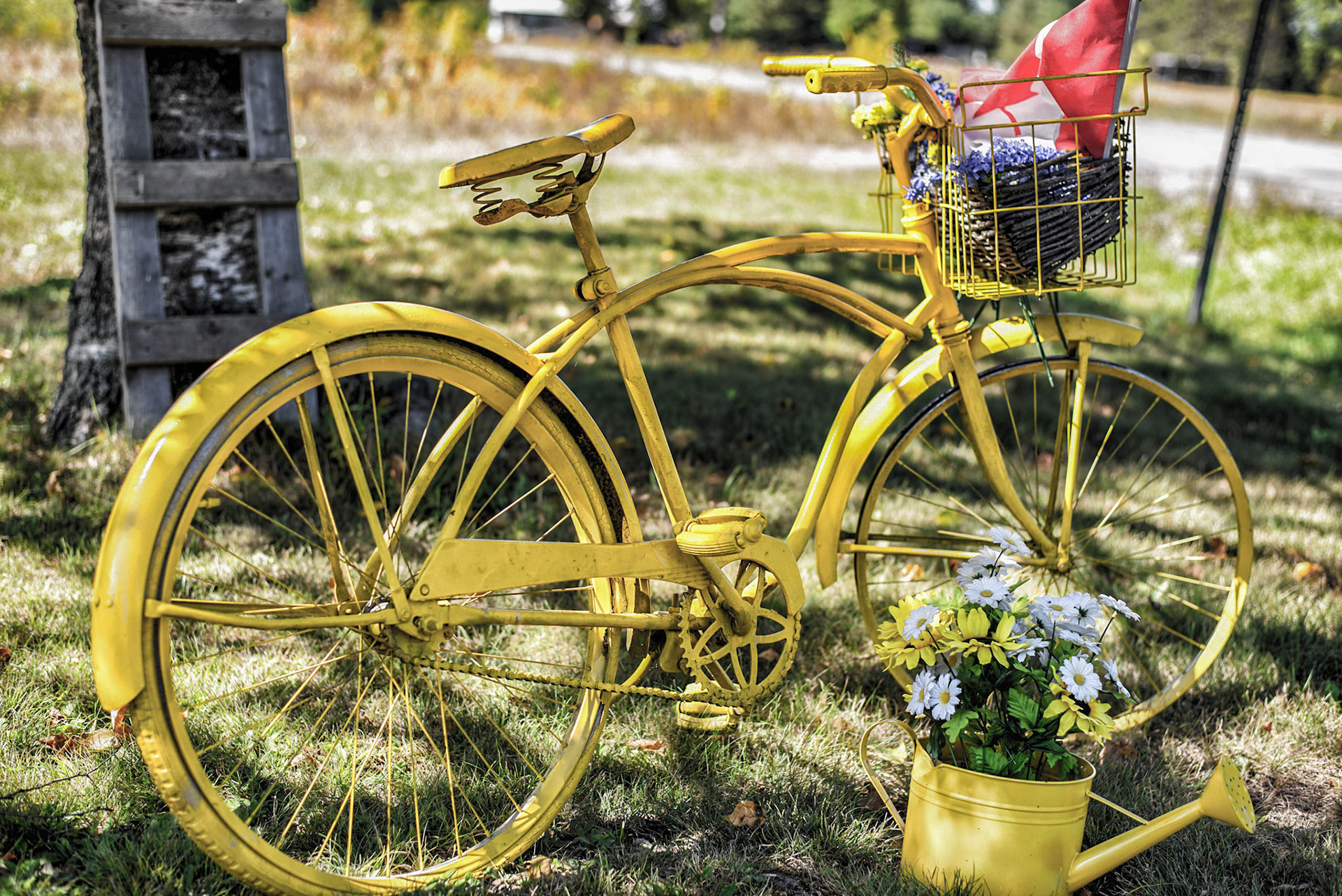 An old bike painted yellow standing by the road near Minden.