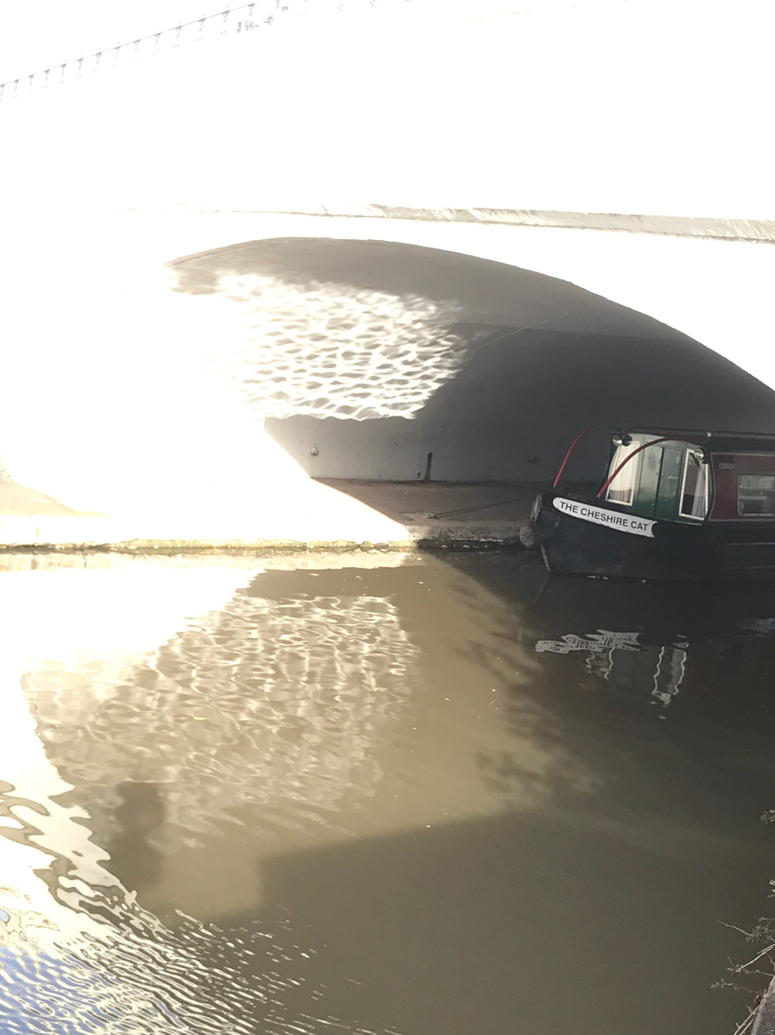 The Cheshire Cat (IW)