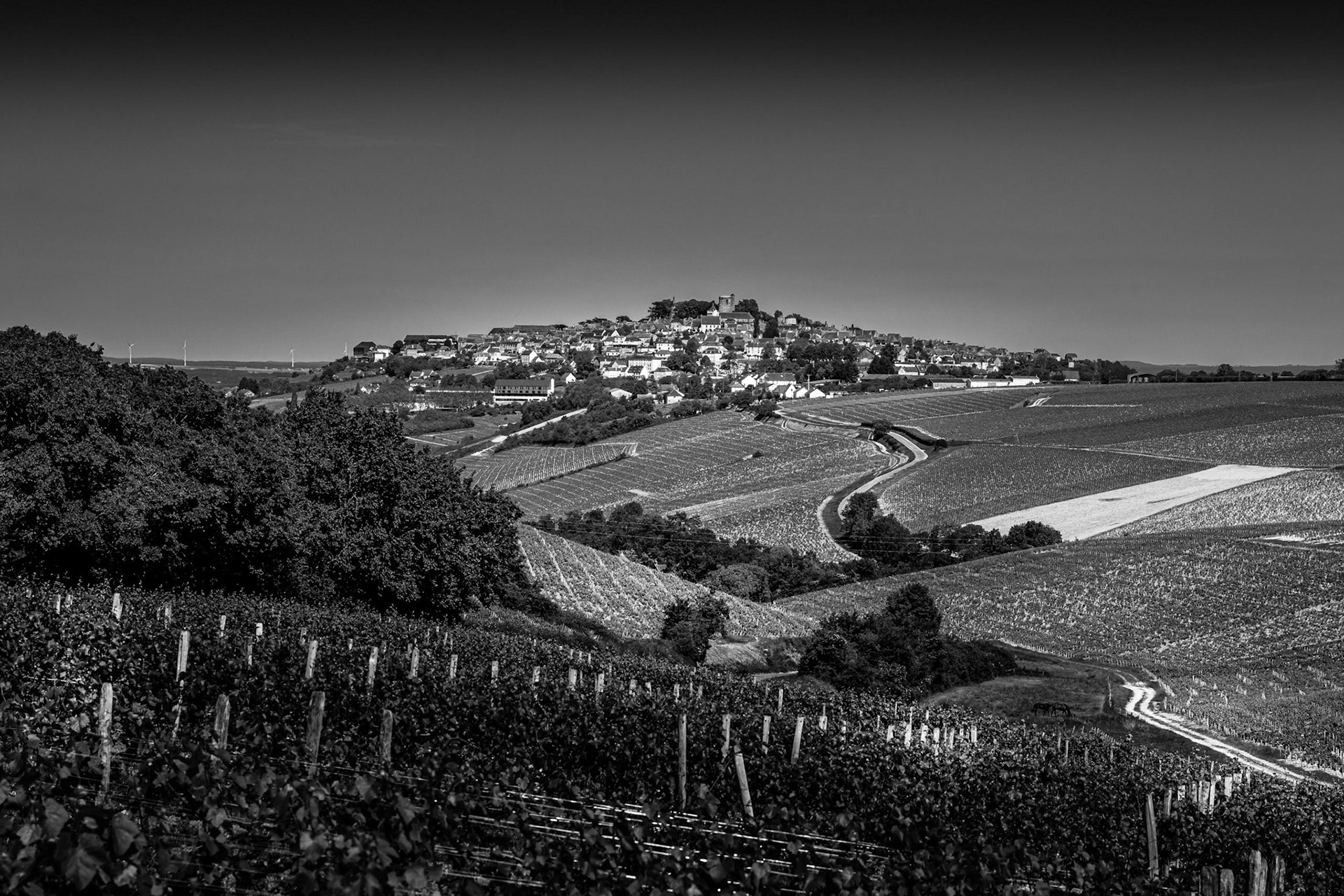 Sancerre