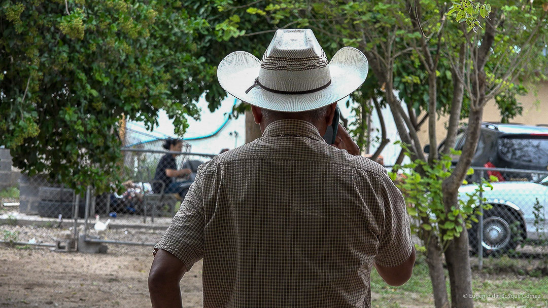 Documentary Feature Film