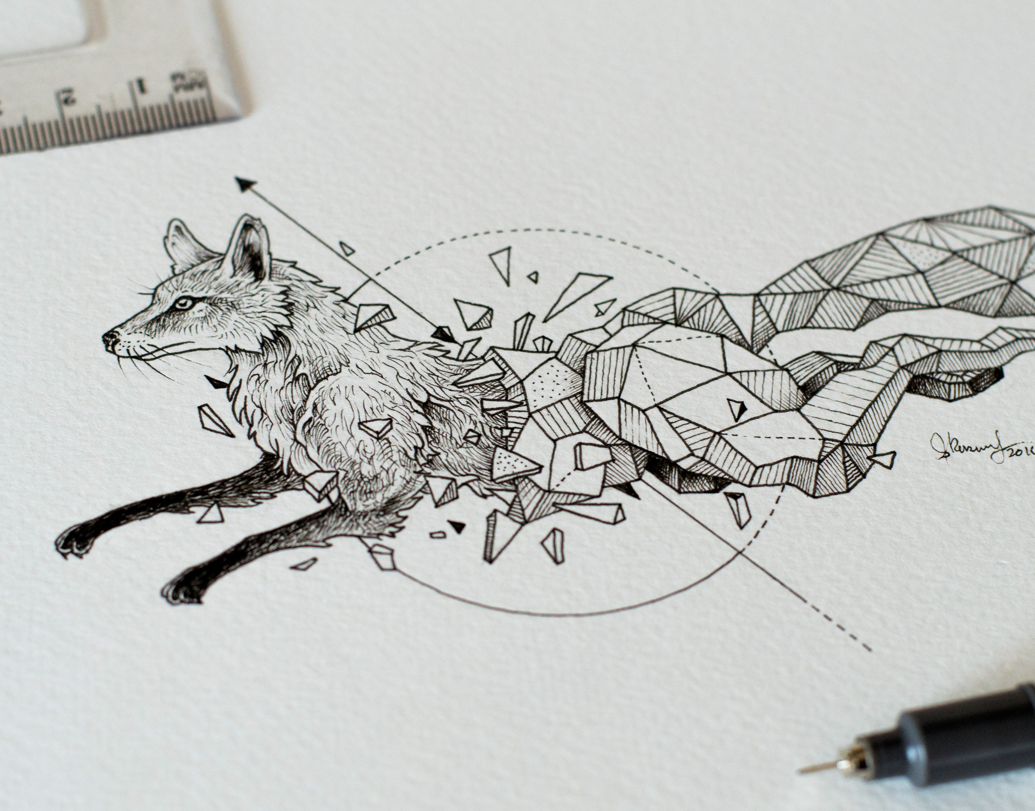 how geometric illustrator to animals in draw : Geometric Rosanes  Illustrator Beasts  Portfolio Kerby :