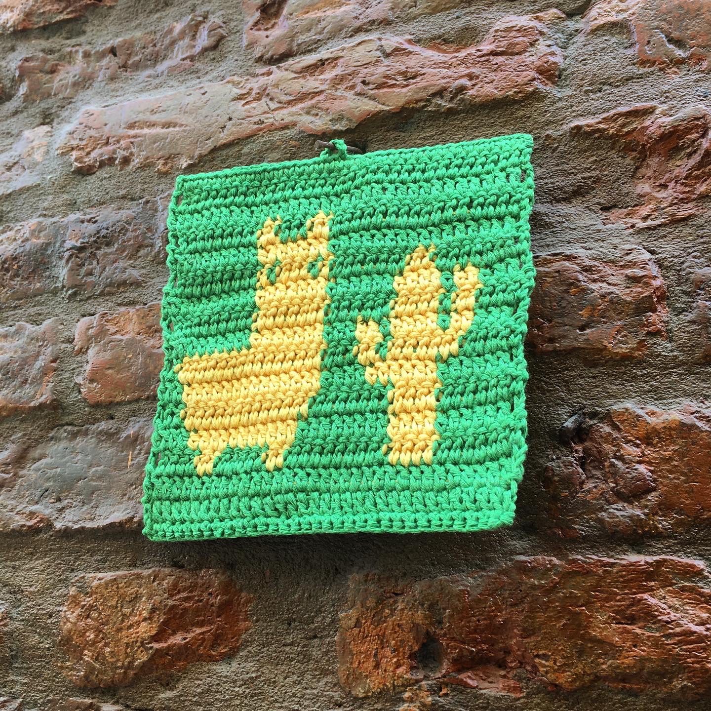 llama cactus