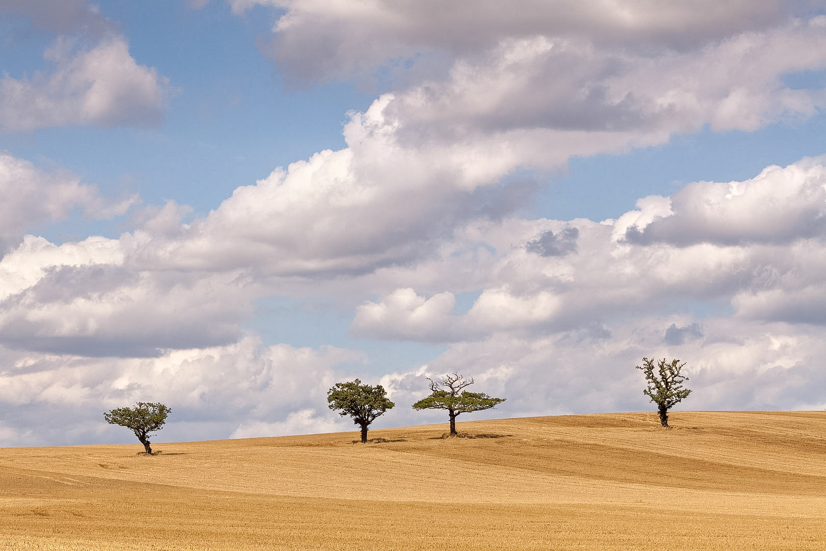 Foursome, Essex