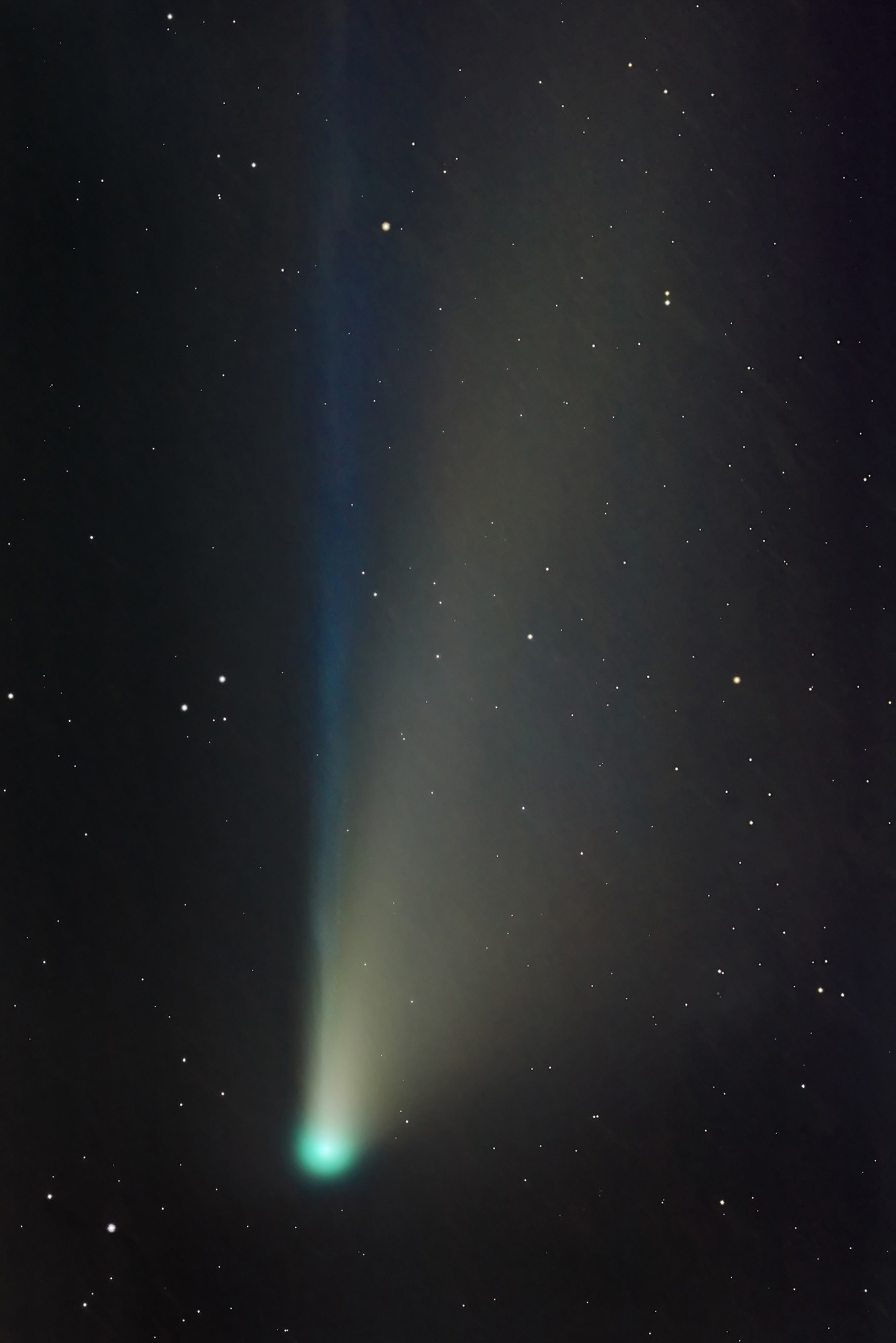 Comet Neowise Detail