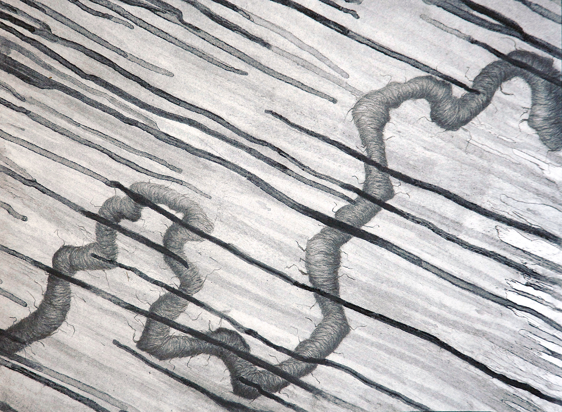 Ambient Landscape 6 - Graphite and alcohol wash and painting - 8"x10"
